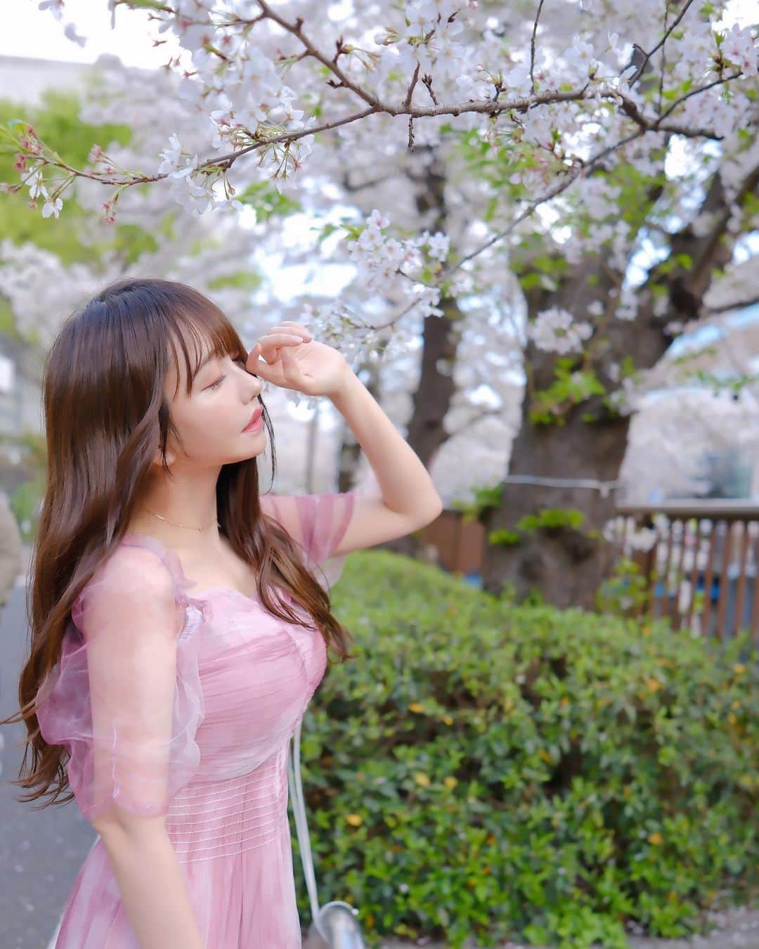 遠藤 玲奈 /endo renaさんのインスタグラム写真 - (遠藤 玲奈 /endo renaInstagram)「#sakura #sakura2023  🌸」4月3日 21時05分 - r_m.0115