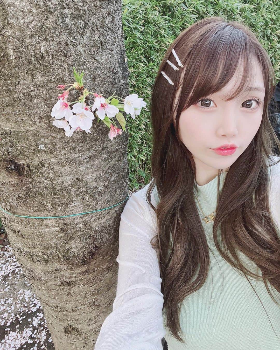 塚本舞さんのインスタグラム写真 - (塚本舞Instagram)「また四月が来たよ🌸  先日のスタジオの近くに桜が綺麗な公園があって 散っちゃう前に見ることができました🫶🏻🌸 ⁡ ⁡ 記念に撮影に来てた可愛すぎるファミリーがいらっしゃってホッコリ☺️🌸 映り込んでしまわれてたので背景ガタガタだけど気にしないで😭😭🌸 ⁡ ⁡ 新年度もよろしくお願いいたします！」4月3日 21時07分 - maipuni