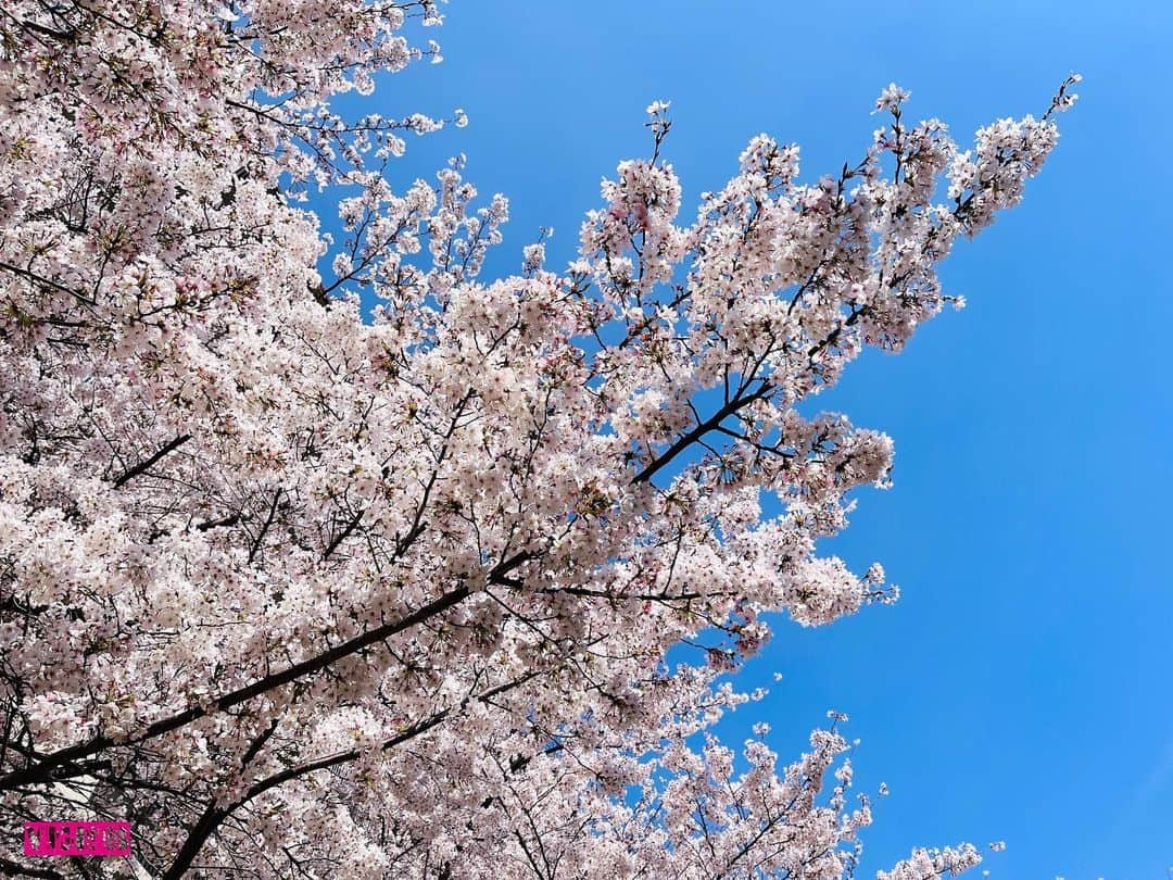 杉本なつみのインスタグラム