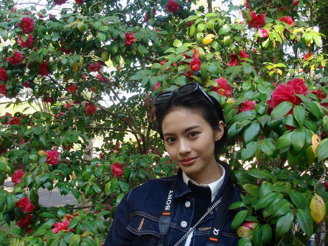 のインスタグラム：「#seiracamera ⠀  椿の花言葉は  “You’re a flame in my heart” あなたは私の胸のなかで炎のように輝く  という意味があるそうです  ⠀ 好きなお花は薔薇と椿です🌹♥️」