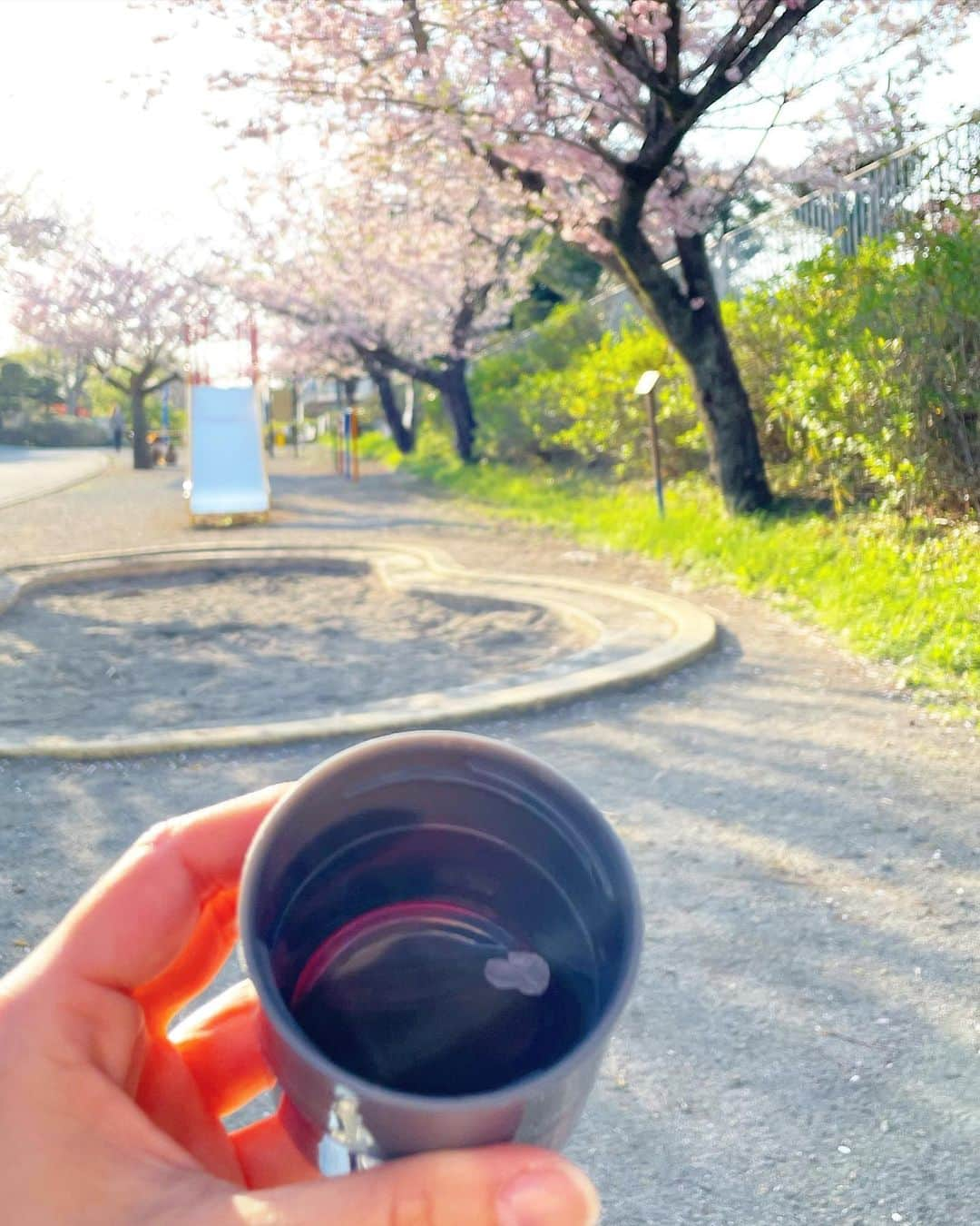 結城さなえさんのインスタグラム写真 - (結城さなえInstagram)「念願の🌸🍡  母とお花見。 今年は絶対するぞーと心に決めて、3回ほど空振りし笑、やっっと出来ました。  二人でのんびりベンチに座り、桜を楽しみながら、水筒に入れてきたあったかいお茶飲んで。あ、私はビールも笑。  道明寺食べておいなりさん食べて、、 最高にほっこりする花見ができました。  お母さん、付き合ってくれてありがとね🌸  #桜　#お花見 #満開 #道明寺　 #桜スイーツ  #花見に温かい飲み物は必須 #sakura #japan #hanami #cherryblossom  #attheirbest #2023」4月3日 21時27分 - yuukisanae