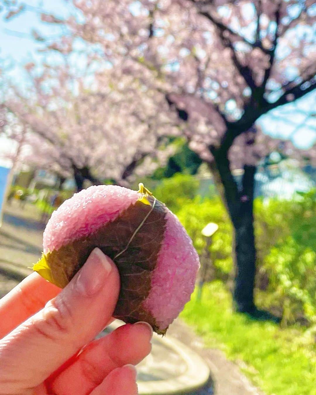 結城さなえのインスタグラム