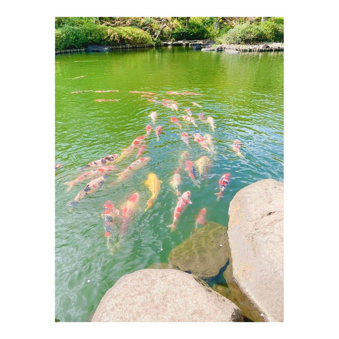 MINAのインスタグラム：「🌱🇯🇵＾＾」