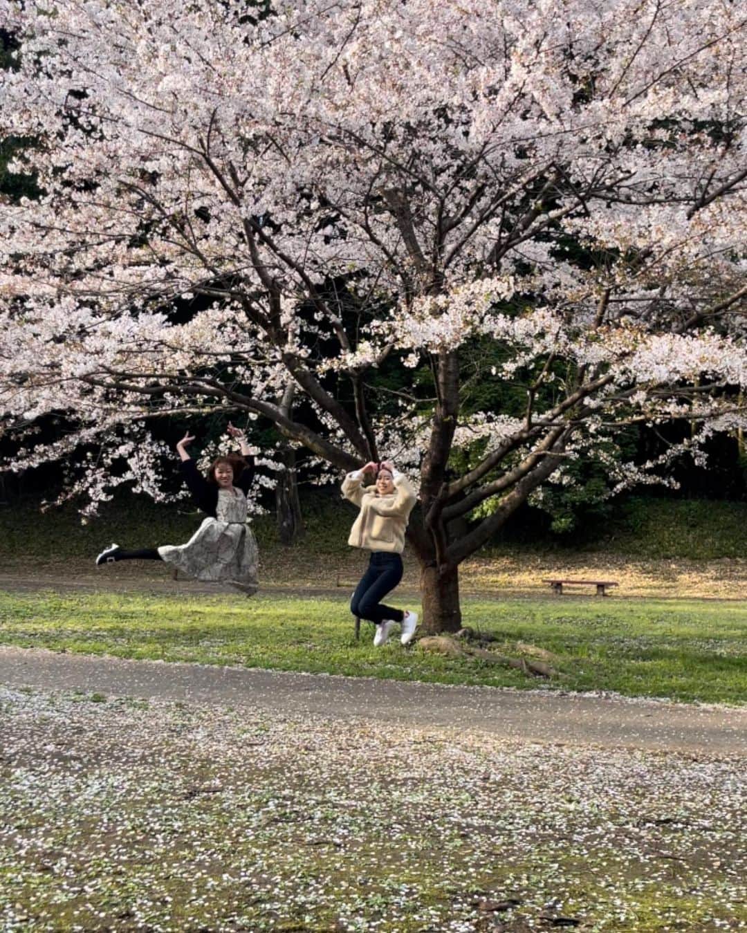 井田彩花さんのインスタグラム写真 - (井田彩花Instagram)「🫰🏻🩷」4月3日 21時22分 - idaayakatan