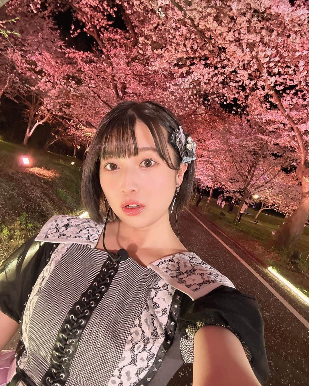 安部若菜のインスタグラム：「#CDTV 30周年SP  ありがとうございました！ とっても綺麗な桜の下で歌わせて頂きました🌸  NMB48で「僕らのユリイカ」 48グループで「ヘビーローテーション」  小学校の頃、テレビで見ていた曲を自分が歌番組で歌わせてもらえる日が来るなんて、思いもしませんでした🥲✨  また出させて頂けるよう頑張ります！ #赤城山#赤城南面千本桜#桜#アイドル#NMB48」
