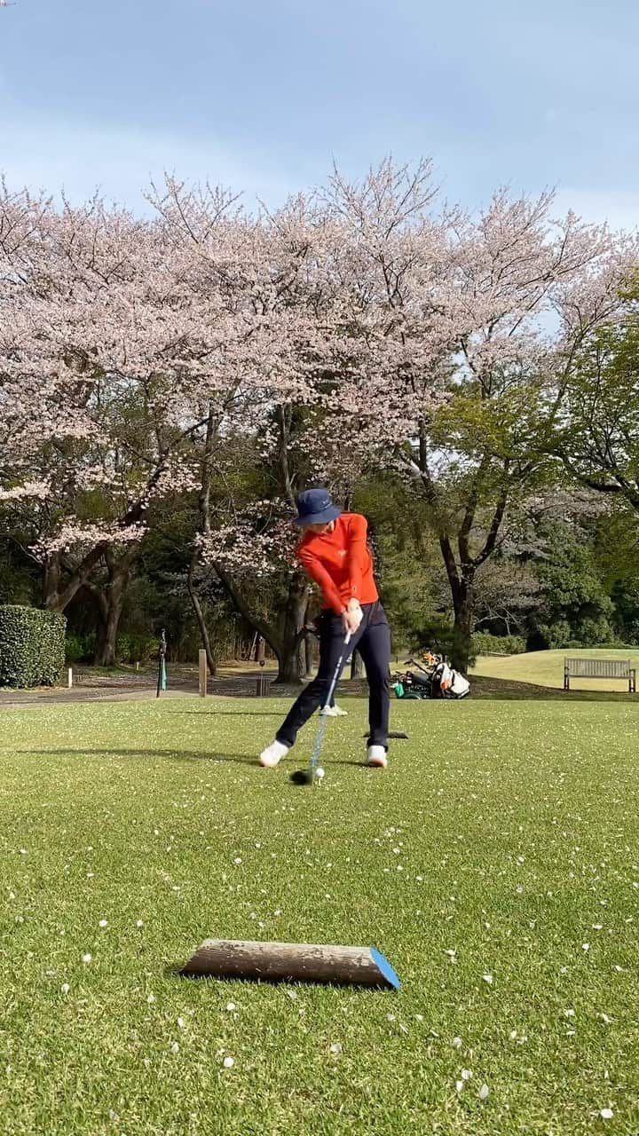 高島早百合のインスタグラム：「． ． 🌸桜舞い散る中でのラウンド🌸 ． お天気良くて最高でした😄 だいぶ振れるようになってきた！ そして最近はバケハブーム🤟 ． #ママプロゴルファー #太平洋クラブ八千代 #エミリッドバハマ #FIDRA #バケハコーデ」