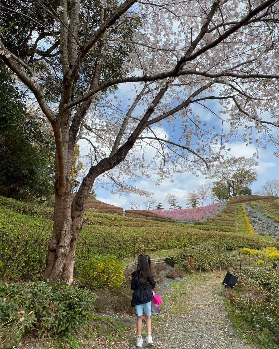 YUAさんのインスタグラム写真 - (YUAInstagram)「⛳️ 男子ツアーが開幕し、ゴルフ観戦の日々がスタートしました🏌️‍♀️ 初戦は三重県の東建多度カントリー。 4ヶ月ぶりの観戦で歩けるか不安でしたがゆあもセナも当たり前のように歩けていました 桜が満開で色とりどりの花が咲きとてもきれいなゴルフ場で歩いていて気持ちよかったです 名古屋で美味しいものもたくさん食べて大好きな選手たちも観られて楽しい週末でした✨ 優勝した今平周吾プロおめでとうございます🎉 ・・・ ・・・ #yua #kidsmodel #ゴルフキッズ女子 #ゴルフ女子コーデ #4月から2年生 #男子ゴルフ盛り上げ隊 #男子ゴルフツアー開幕 #東建ホームメイトカップ #今平周吾プロ」4月3日 21時31分 - yuagram89