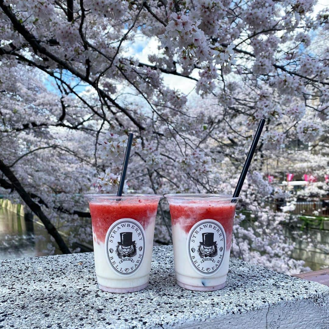 横山なつみさんのインスタグラム写真 - (横山なつみInstagram)「.  🌸🫧  新年度始まりましたね  新しい環境や新しい仕事 新しい出会いもある季節。  わたし自身も変化することに恐れず 色んなチャレンジと吸収すること 頑張っていきたいとおもいます☻   #桜 #花見 #目黒川 #中目黒」4月3日 21時42分 - ___natsumi327