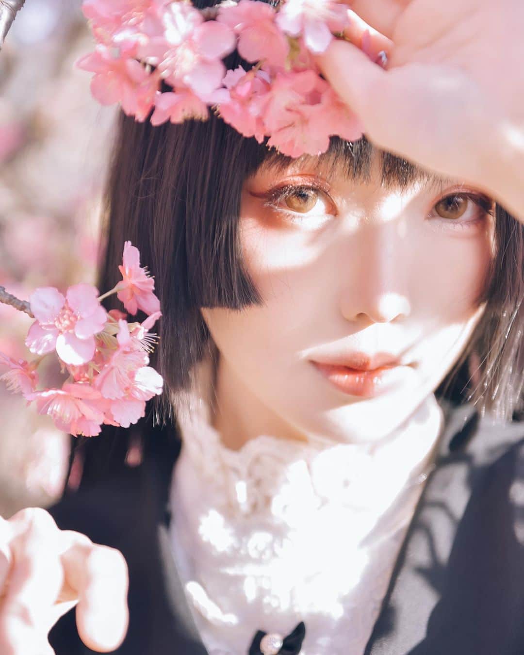 Elyのインスタグラム：「Cherry blossoms and you reflected in the pupil.🌸  瞳に映る桜と君🌸  映照在瞳孔的你和櫻🌸  📷 @dzzdm」