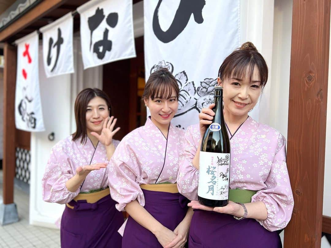 真坂はづきのインスタグラム：「３月３０日に発売となった【桜名月】🌸 今年は発売当日に、サイト・酒類卸・酒蔵にも在庫がなくなるほど。ご好評いただき嬉しい限りです。私の手元にもほぼなく…🥹 酒屋さんやお店で見つけたらぜひゲットしてほしいです💐  今年も大好きな姉2人と共にこの日を迎えられたことがとても嬉しいです☺️🍶  そして何よりも、尽力いただいた沢山の関係者の皆様と楽しみに待ってくださっているファンの皆様に心から感謝です。  シーズン8も種蒔きがまもなく！今年度も良い酒米・お酒ができるよう、頑張ります🌾  #桜名月　#日本酒 #秋田の日本酒 #秋田 #一白水成 #福禄寿酒造 #アジマックスグループ」