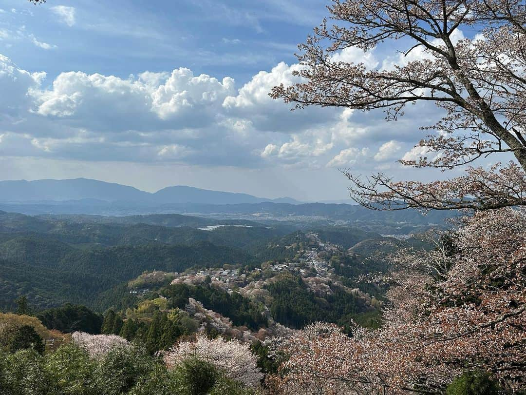 河瀬直美さんのインスタグラム写真 - (河瀬直美Instagram)「水分神社の 楚々とした桜  美しいです。  歩いて歩いて 出逢った美  こんな日本を 誇りに想う  儚い夢のような光景 いま、盛りなり  Mikumari Jinja shrine's graceful cherry blossoms  They're beautiful.  The beauty I encountered walking on and on.  It is this kind of Japan that I feel proud of.  A scene that is like a fleeting dream now, at its peak  #吉野山 #てくてく #見上げる #yoshinoyama  #walk  #lookup」4月4日 7時42分 - naomi.kawase