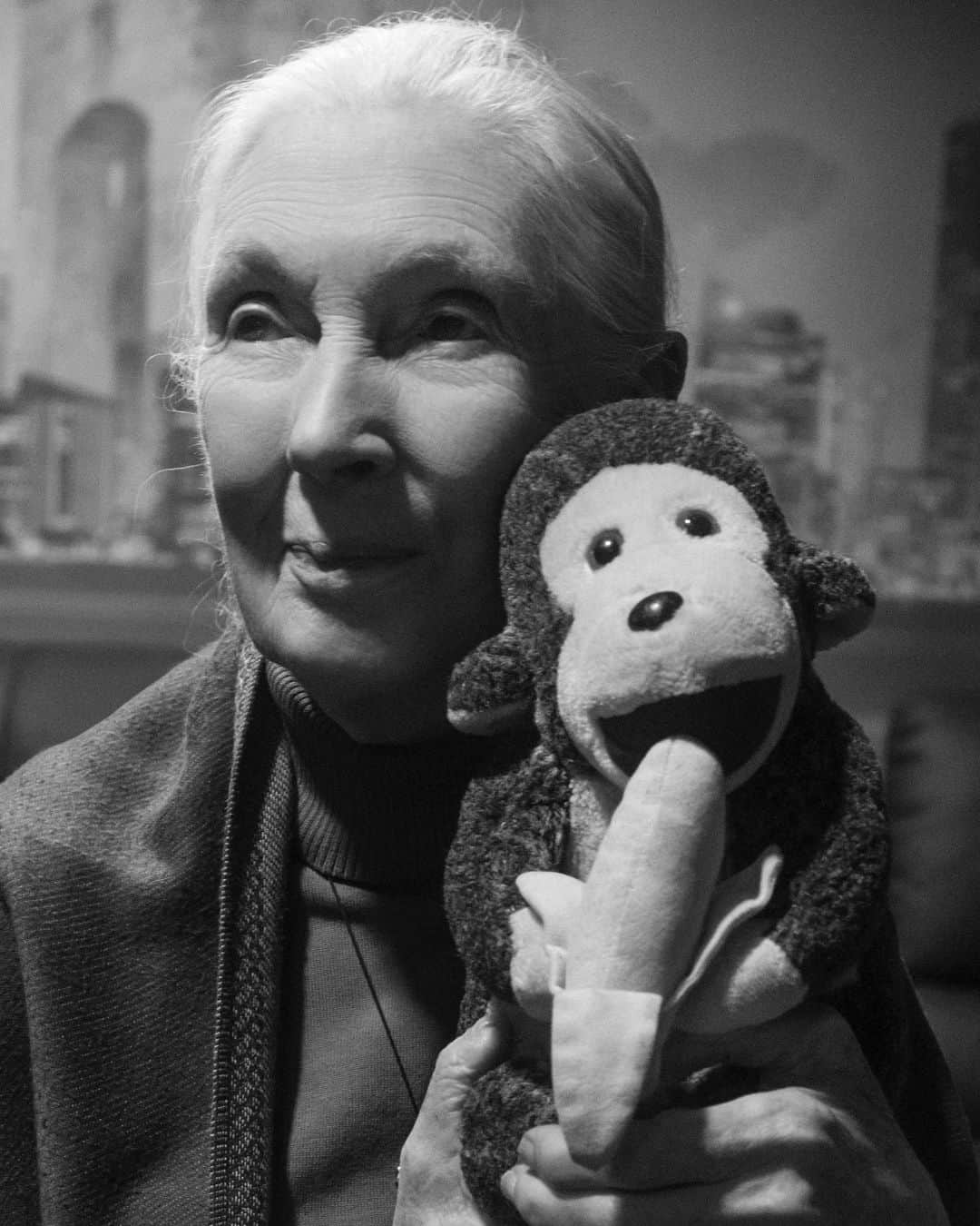 ブルース・ウェーバーのインスタグラム：「Happy Birthday to Jane Goodall DBE. A beautiful primatologist, anthropologist and a friend. Jane once told me "that she likes seeing me so she gets her fix of dogs when she's on the road." Jane, we all thank you and send you a big chimpanzee hug.  Bruce Weber and Nan Bush @janegoodallinst」