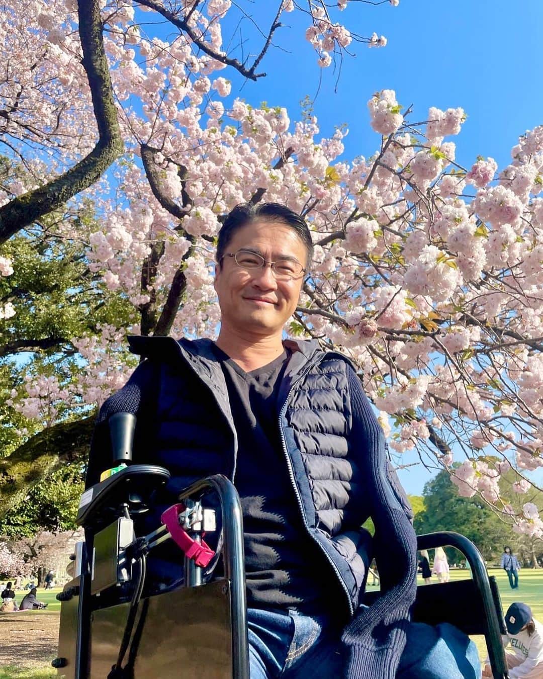 のインスタグラム：「新年度スタート。  みなさんにとって、良き節目となりますように。  #桜 #花見 #お花見 #新宿御苑」