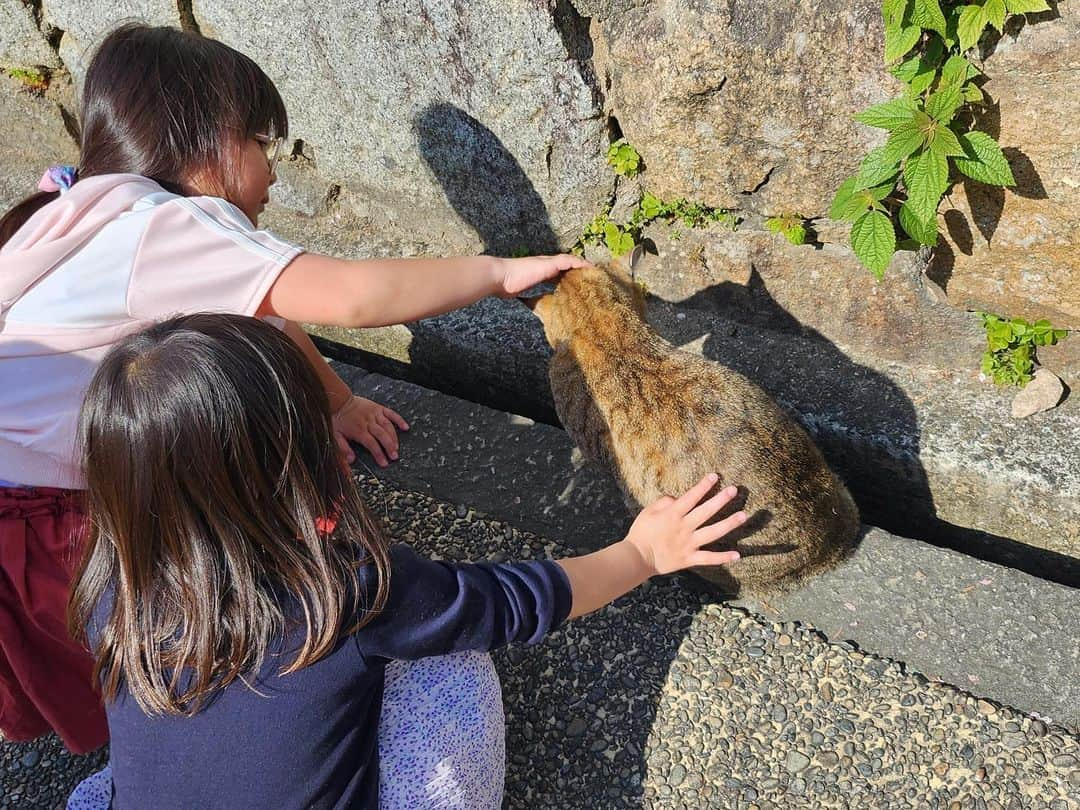 ナカムラ建設さんのインスタグラム写真 - (ナカムラ建設Instagram)「春休み　錦帯橋」4月4日 8時25分 - nakamura_kensetsu