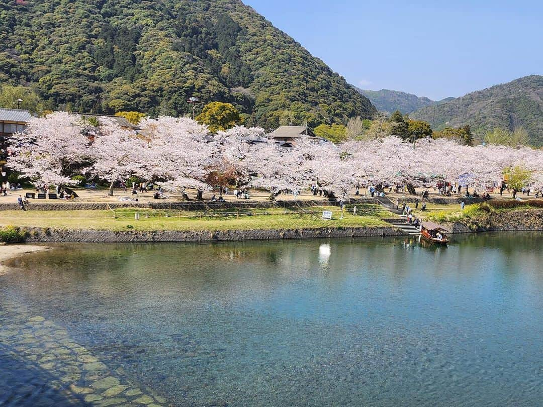 ナカムラ建設のインスタグラム：「春休み　錦帯橋」