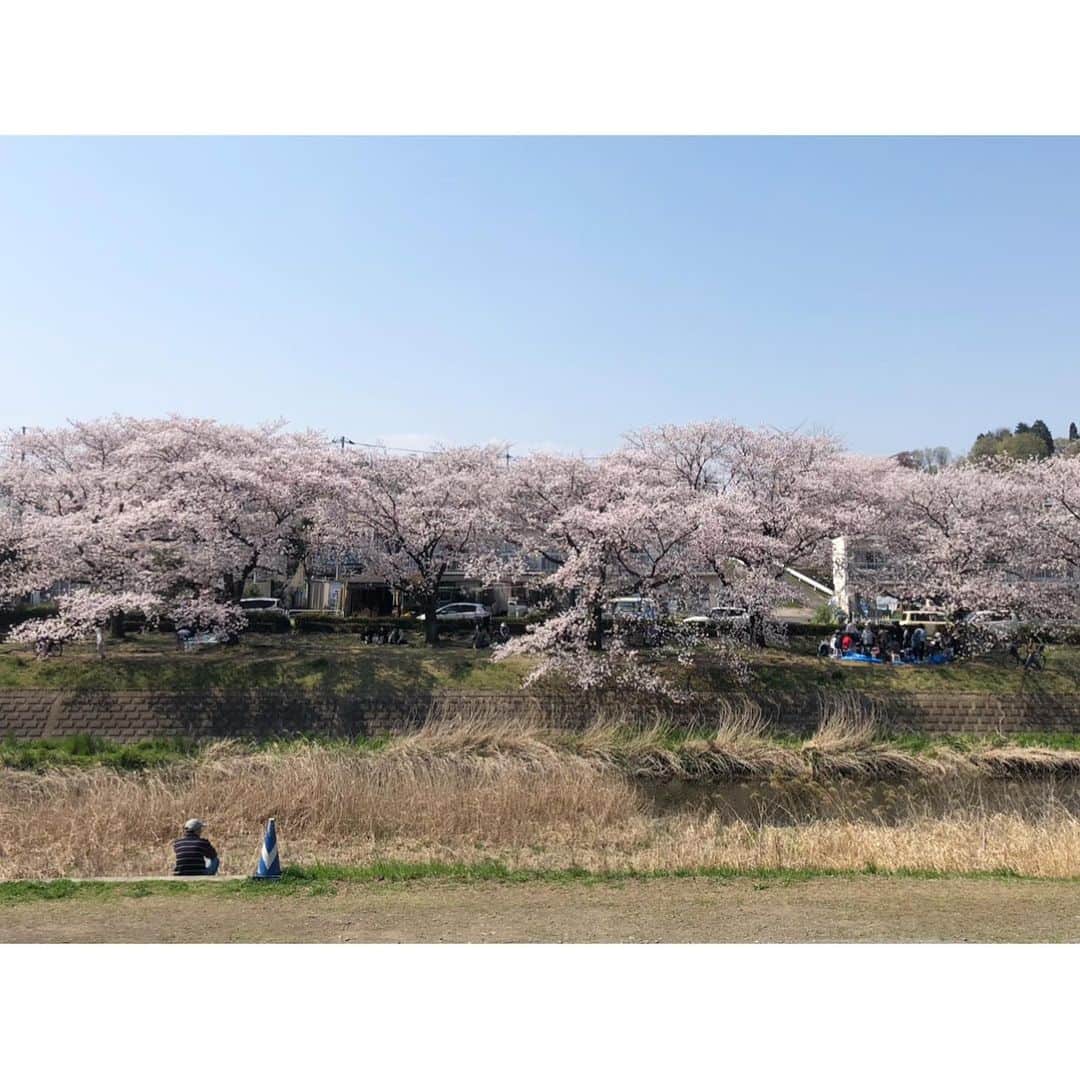 井山三希子さんのインスタグラム写真 - (井山三希子Instagram)「・ 浅川沿いの桜はそろそろ終わりかな 先日自転車で八王子市内まで 翌日は朝から晩まで鼻水が…」4月4日 8時34分 - nikoyagi