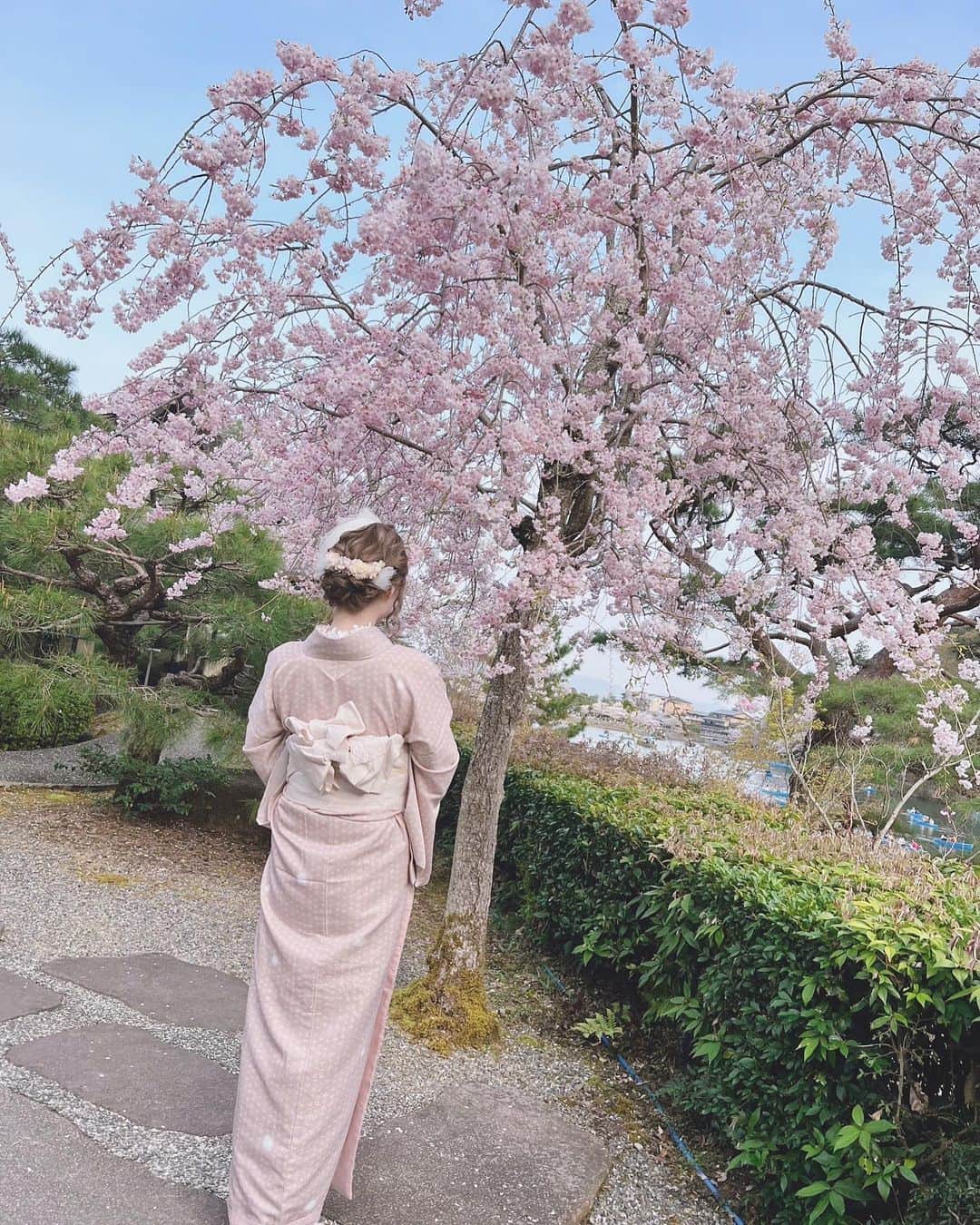 りのにゃんさんのインスタグラム写真 - (りのにゃんInstagram)「ﾟ+.*ʚ♡ɞ*.+ﾟ ⁡ ⁡ ⁡📍翠嵐ラグジュアリーコレクションホテル京都 ⁡ ⁡  お庭に桜が咲いてて素敵🌸🌸🌸 ⁡ ⁡  春の京都はいろいろなとこに桜が咲いてて  きれいでほんとに癒されるなぁ⛩ ⁡ ⁡ ⁡ ⁡ ⁡ #Tokyo#歌舞伎町#六本木#キャバクラ#BAR#ホスト #翠嵐ラグジュアリーコレクションホテル京都 #翠嵐#suirankyoto#ラグジュアリーホテル#高級ホテル #京都ホテル#京都旅行#京都#Kyoto#嵐山#嵐山散策#villageKyoto#kimono#着物レンタル#京都着物レンタル ⁡ ⁡ ⁡ ⁡」4月3日 23時59分 - rino.nyan.nyan