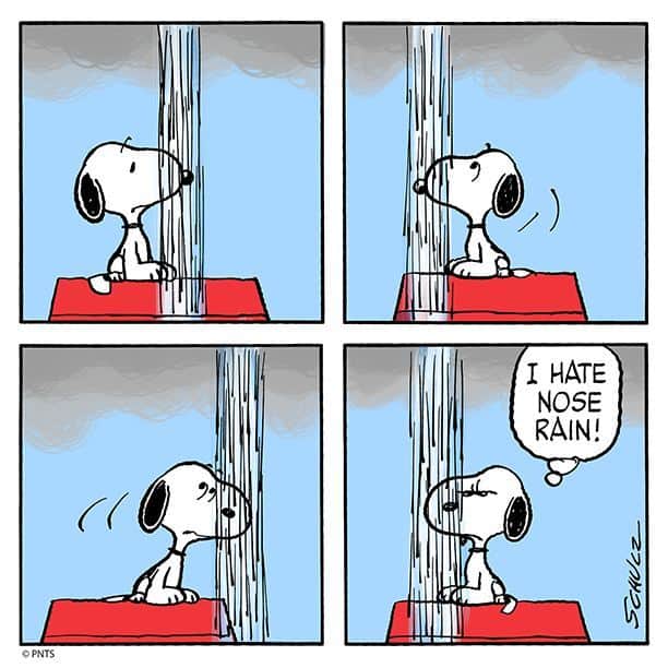 スヌーピーのインスタグラム：「Beware of nose rain!」