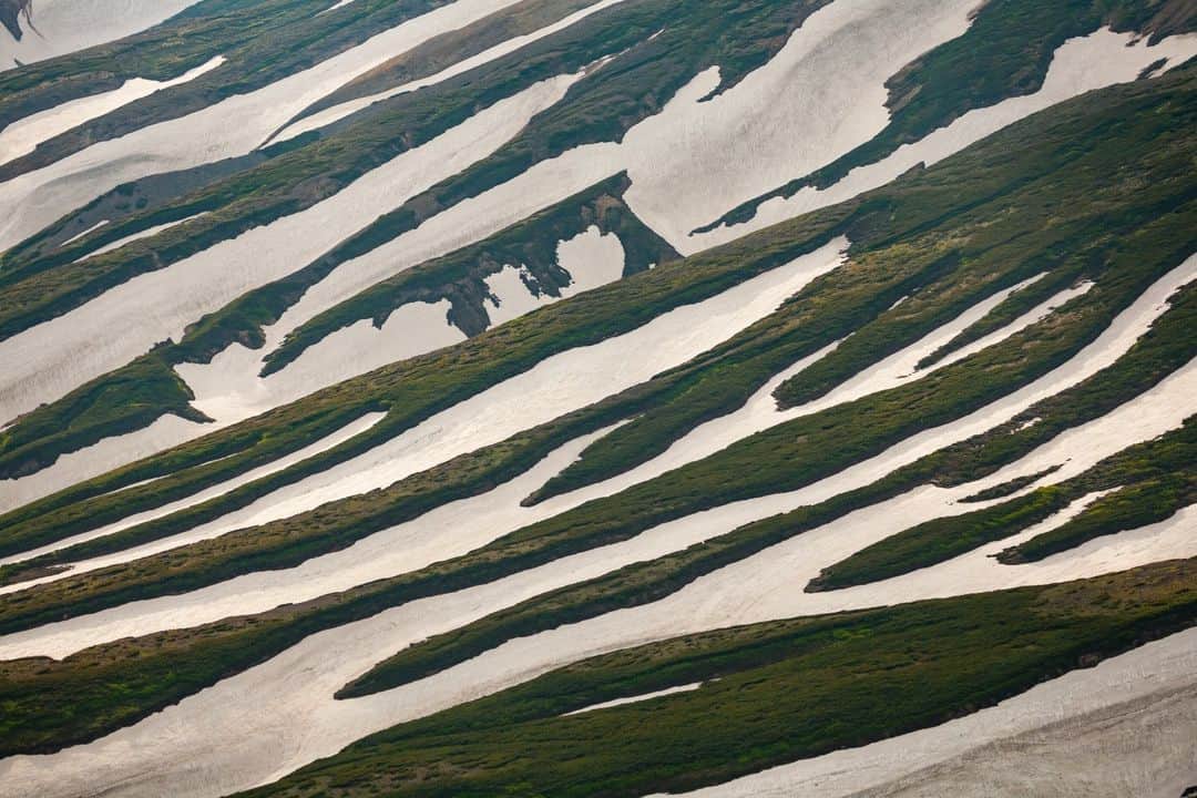 Michael Yamashitaのインスタグラム：「Daisetsuzan Spring  End of the season: Stripes of snow and spring green on the slopes of Asahidake Volcano, Daisetsuzan National Park, Hokkaido, Japan. Only the heartiest and most experienced backcountry skiers will take on the mountain's challenge for spring skiing on the melting slopes.  #Japan #AsahiDake #volcano #hokkaido #Daisetsuzan」