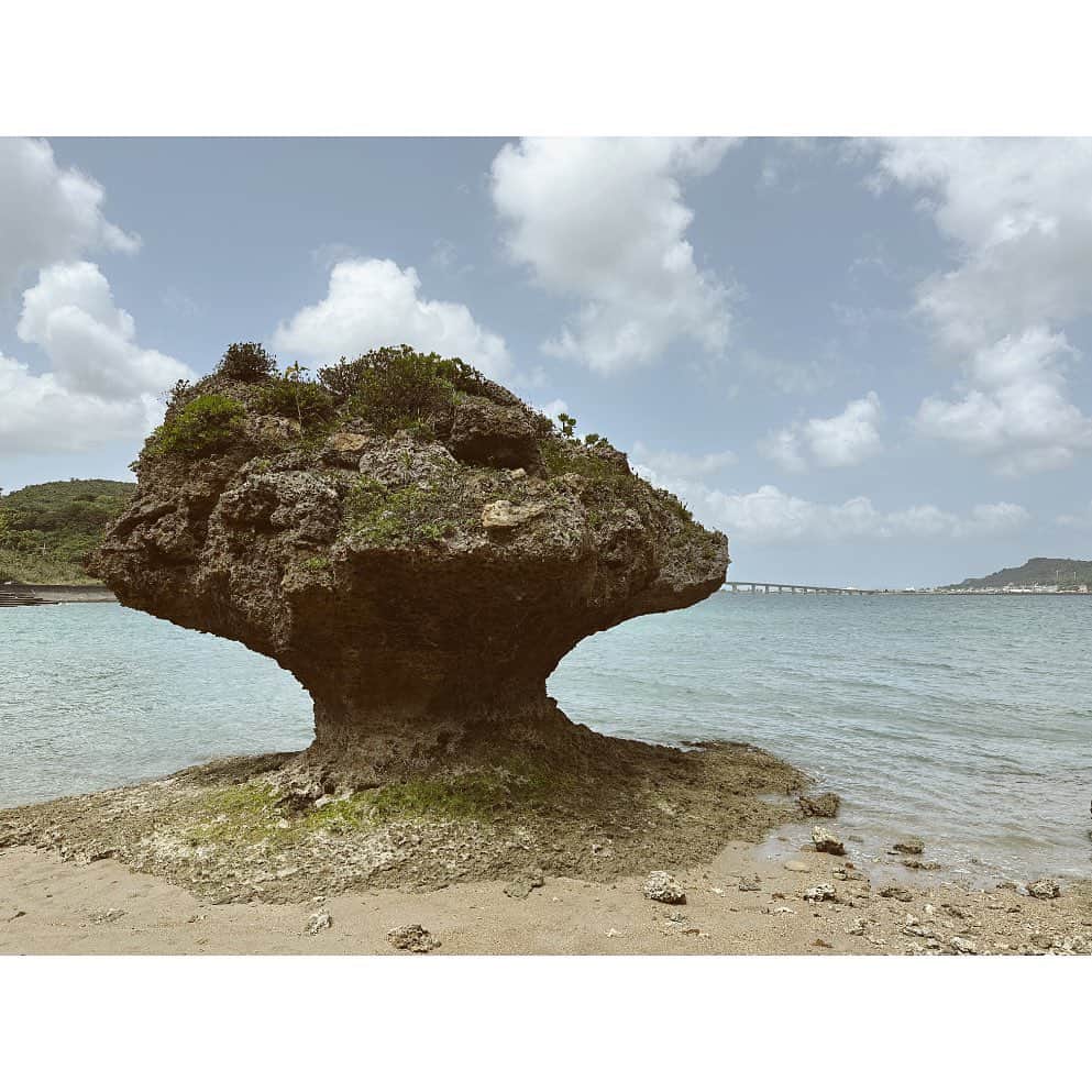 ハミルのインスタグラム：「. . 【　空の青さと、バナナの葉　】  沖縄２日目.浜比嘉島へ、 アマミチュー、シルミチューの墓を周り、 途中に無化調の帆掛きそばで魚介出汁堪能して、 @fukakisoba  やんばるの薬草の宿へ. @yanbaruyasou   睡蓮の池あるジャングルの一棟貸しの宿で 鳥や虫の声聞きながら、 ここの小さき守人くんのおもてなし受けて、休日満喫.  こんな男の子の息子がいたら、 メロメロだろうなぁ。  夜はバナナの皮でしつらえた南国の食事と 一子さんのお茶と.  青い空とバナナの葉の緑、自然に どっぷり浸かる休日.  仕事して旅して仕事して旅. このペースが自分を幸せのリズムに乗せてくれる.  旅がたくさんのことを教えてくれる.  足腰動くまでこの生活して、ポックリ死にたい. 福田、生き急いでいたい！  #旅は宝 #旅は栄養 #旅は精神安定剤」