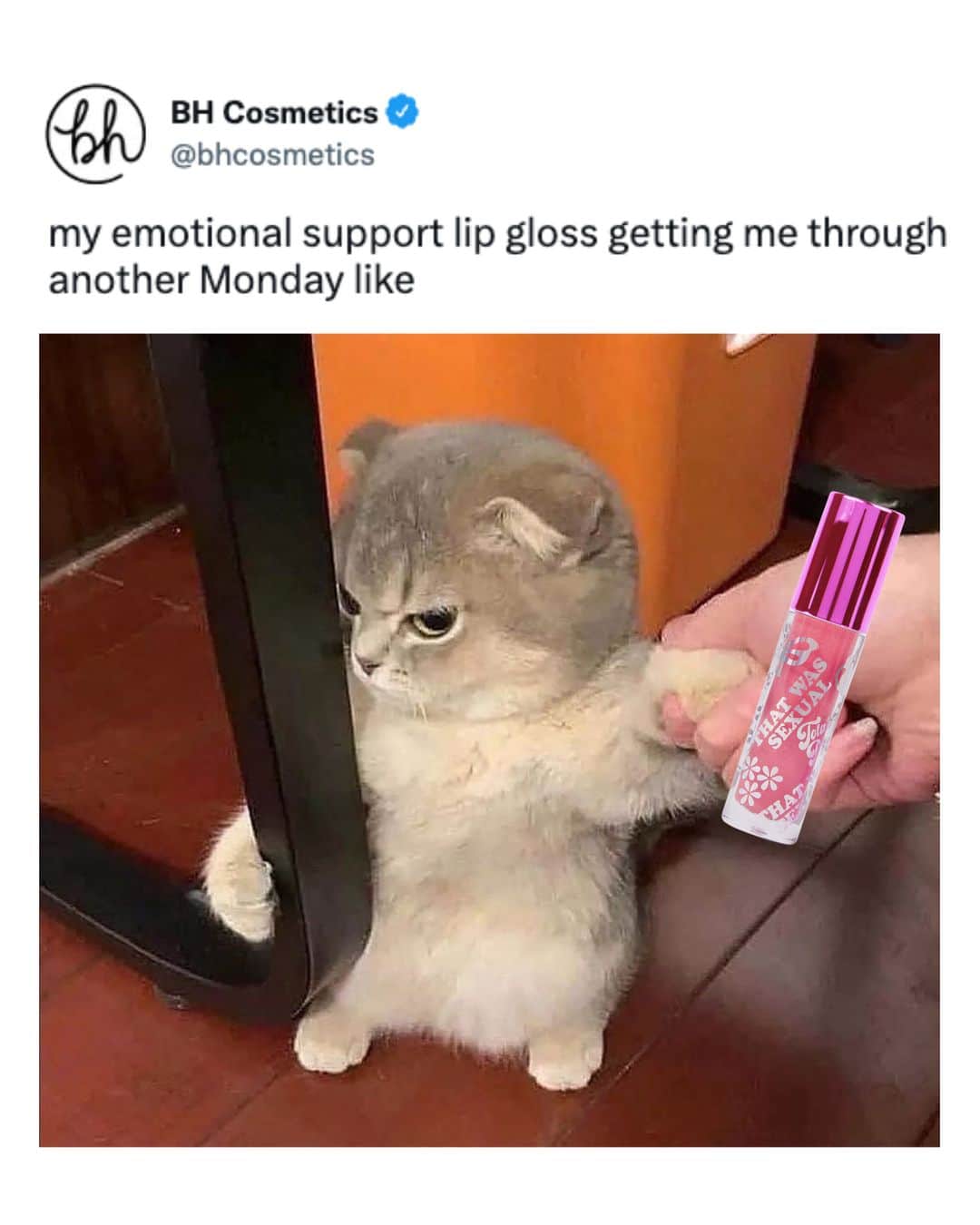 BH Cosmeticsのインスタグラム：「How is it already Monday... 🧐 ?!? Tag someone who gets it 👇 #bhcosmetics」