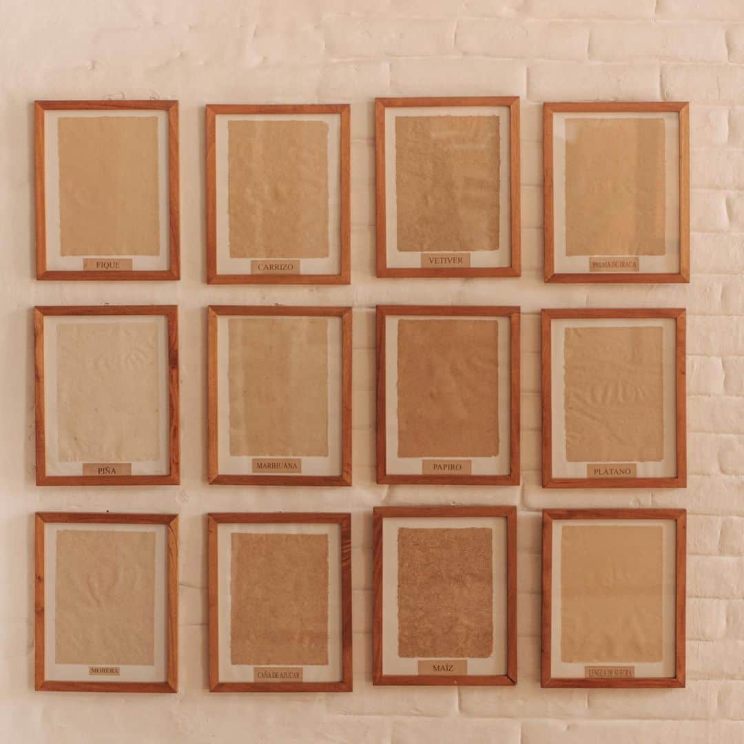 タリアナ・バルガスのインスタグラム：「El arte del papel hecho a mano @tallerdepapeldebarichara」
