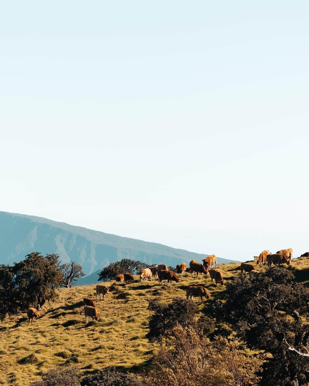 マチルド・グロさんのインスタグラム写真 - (マチルド・グロInstagram)「Quelques photos du Piton de la Fournaise 🇷🇪🙌🏻 lors de mon séjour à La Réunion ! 🤩 • • #roadtrip #pictures #goodmemories #beautifullandscape #paradise」4月4日 4時31分 - gros_mathilde