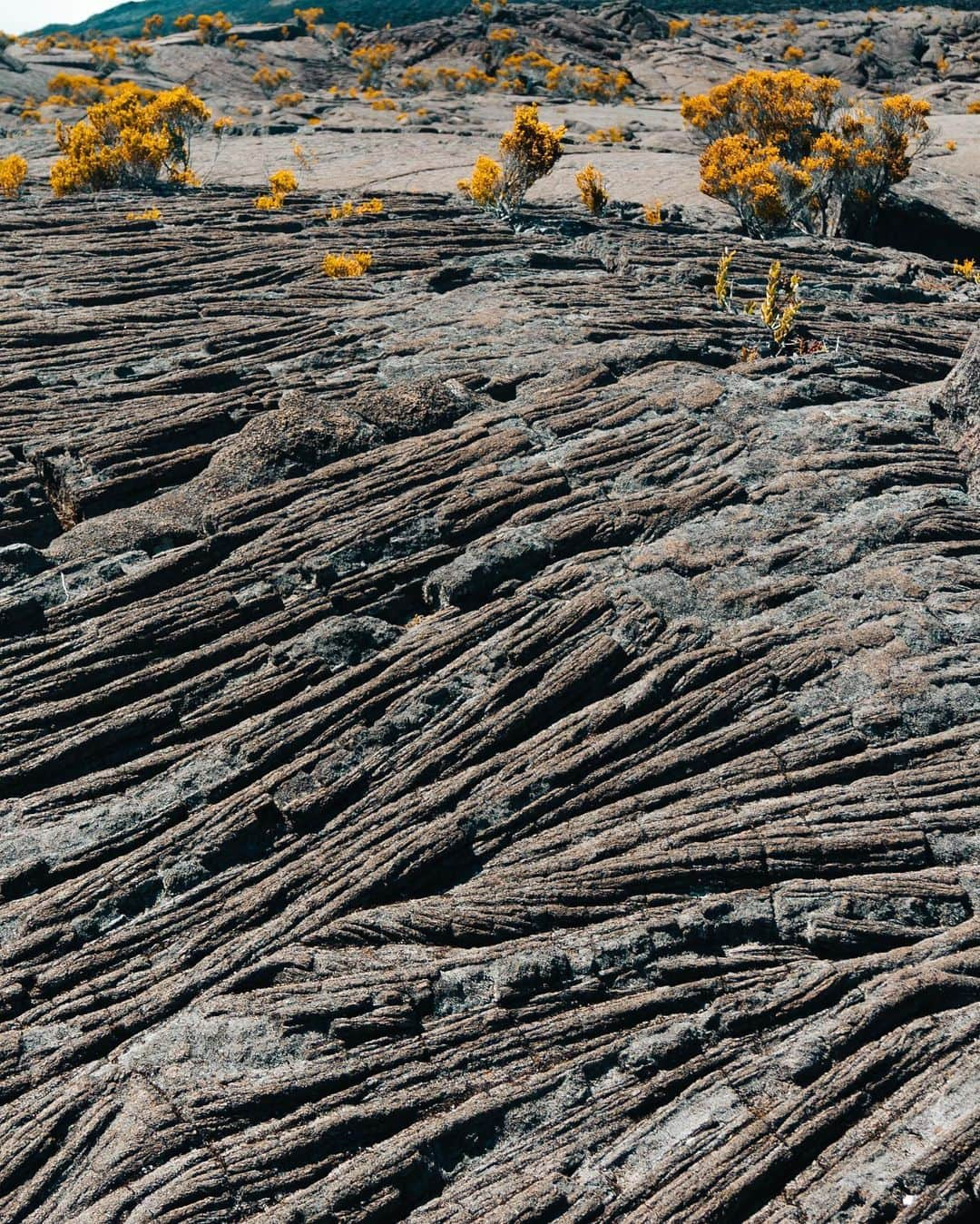 マチルド・グロさんのインスタグラム写真 - (マチルド・グロInstagram)「Quelques photos du Piton de la Fournaise 🇷🇪🙌🏻 lors de mon séjour à La Réunion ! 🤩 • • #roadtrip #pictures #goodmemories #beautifullandscape #paradise」4月4日 4時31分 - gros_mathilde