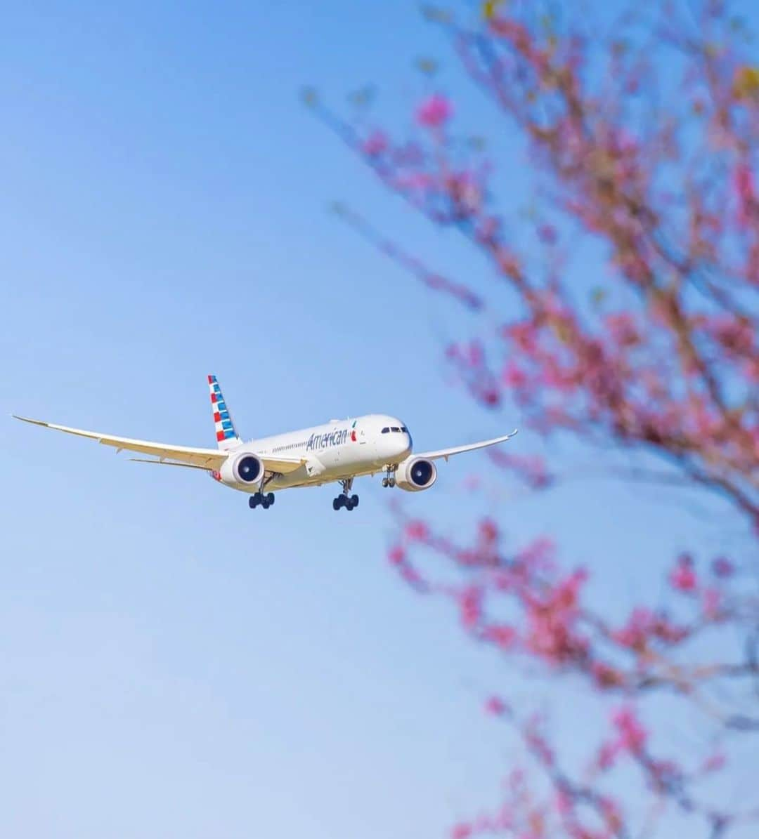 アメリカン航空のインスタグラム：「Springing into April 🌸😍🛩️ Where are you traveling to catch the new blooms? 💐   📸 : @aviate_ty」