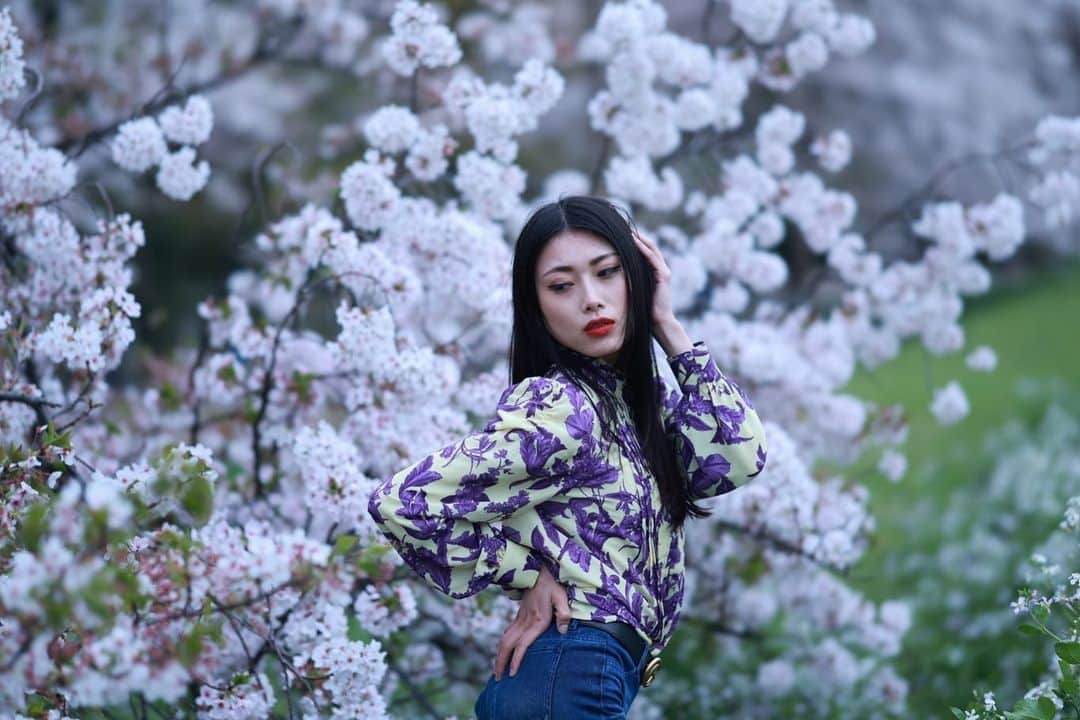 嘉瀬美月さんのインスタグラム写真 - (嘉瀬美月Instagram)「🌸 ⁡ ┈┈┈┈┈┈┈┈┈┈┈┈┈┈┈┈┈┈┈┈┈┈┈┈ ⁡ ⁡ ⁡ 気付いたら桜の木も葉が目立ち始めていた🌿‬ もう4月だもんね〜🤣 ⁡ 今年は結局お花見も桜撮影も出来ませんでした…… ⁡ 写真は数年前に穴場スポットに連れて行ってもらい 撮影した桜たち🌸 ⁡ ⁡ ⁡ ⁡ ◾︎photo @tundora3110  ⁡ ⁡ #portrait #Japanese #Japanesemodel #Asian #tokyomodel #ポートレート #ポートレートモデル #東京写真部 #東京モデル #東京ポートレート #サロンモデル #サロモ #フリーランスモデル #攝影 #寫真 #攝影日記 #人像攝影 #얼스타그램 #긴머리 #사진 #ミスコン #バチェラー #バチェラー4 #桜 ⁡ ⁡ ⁡ ┈┈┈┈┈┈┈┈┈┈┈┈┈┈┈┈┈┈┈┈┈┈┈┈」4月4日 5時18分 - meeeeetamm