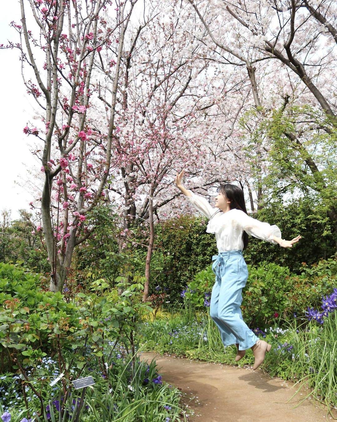 前野えまさんのインスタグラム写真 - (前野えまInstagram)「新年度も頑張ります🌸 ・ ・ #新年度スタート  #桜の季節  #頑張るぞ   #spring  #cherryblossom  #girlportrait #actress #actor #girl #photography #portrait #japanesegirl #portraitphotography #daily_phot_jpn #japan_daytime_view」4月4日 6時31分 - maeno_ema