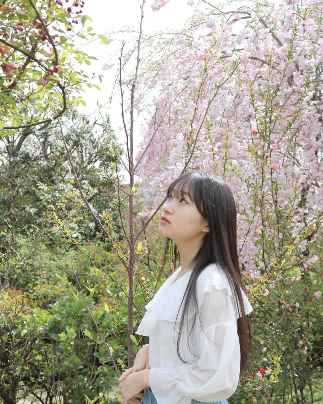前野えまさんのインスタグラム写真 - (前野えまInstagram)「新年度も頑張ります🌸 ・ ・ #新年度スタート  #桜の季節  #頑張るぞ   #spring  #cherryblossom  #girlportrait #actress #actor #girl #photography #portrait #japanesegirl #portraitphotography #daily_phot_jpn #japan_daytime_view」4月4日 6時31分 - maeno_ema