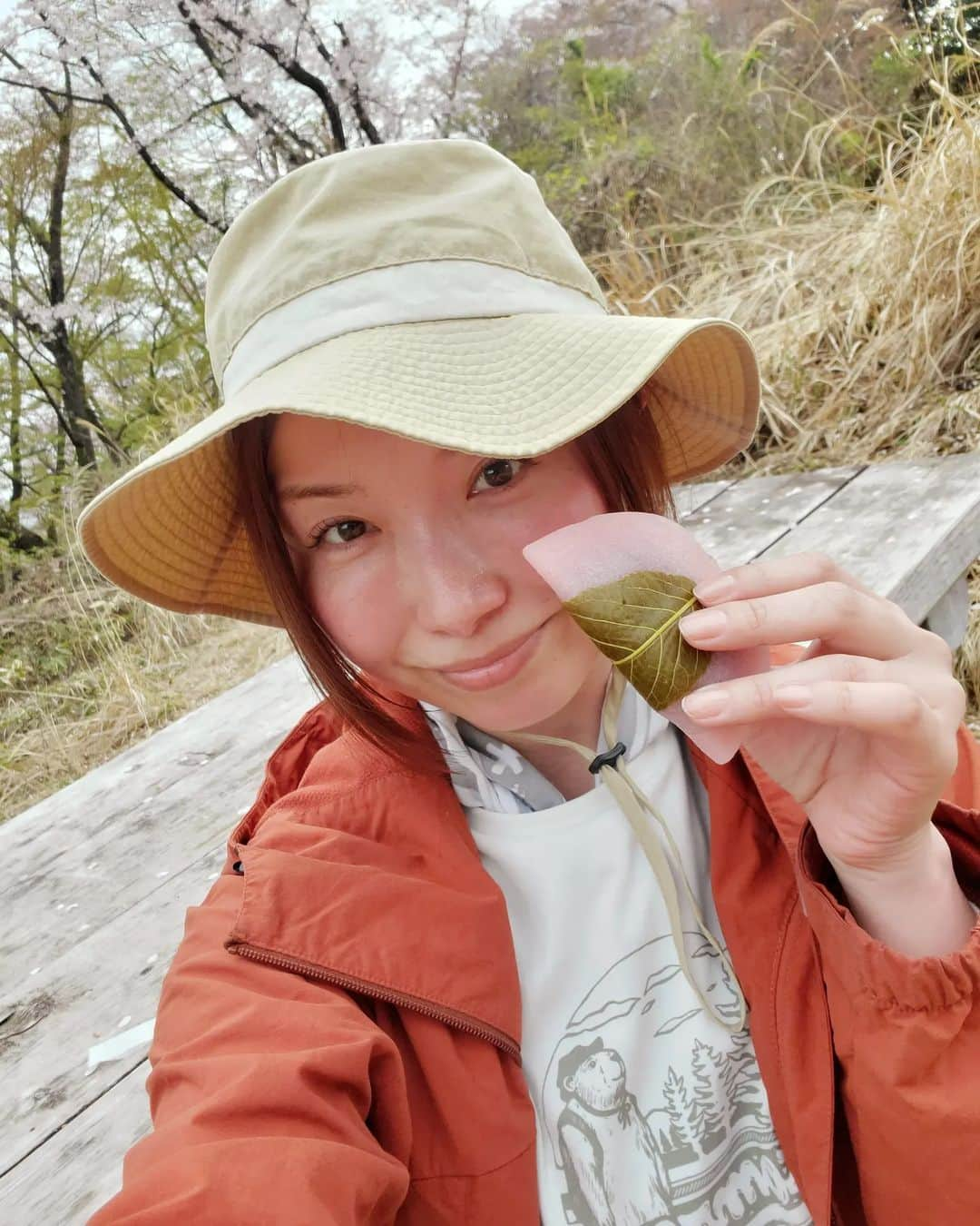 加藤ツバキのインスタグラム：「高尾山から小仏城山へお花見登山⛰️  【写真1・2】 満開をすぎて舞い散る桜をあびながらの桜餅 これだけでもう十分満足なんですが😂  【写真3】 よく見て。ねこいる🐱 こちらは高尾山に住んでるみーちゃん （高尾山常連さんが教えてくれました）  【写真4～6】 桜意外も春の花があちこちに。シャガ、ニリンソウ、写真6枚目…名前なんだっけ🤔  【写真7】 今回の高尾山への目的のひとつ。 通行止めが解除されたシン・稲荷山コースはどんなかんじ？ まず高尾山口から登るの初めてなんで、以前のコースを知らないんですが（過去2回は陣馬山から縦走、稲荷山コース通ってない） 新しい木道、階段が多く…というかわりとずっとある😱 ちびっ子とか登山道からはずれるの防止するにはいいんだろうなぁ、と頭では納得しようと思いますが。。 個人的にずーっと木の階段は登りづらくて苦手です。土の上を歩きたい 下りは6号路 琵琶滝コースへおりましたが高尾山はやはり老若男女問わず賑わってますね😊 愛されてる山だなぁと感じます  気づけば去年ぶりの山活だったので今日はふくらはぎパンパン 笑 今年はもうちょっと標高上げていきたいですなあ⛰️  #高尾山 #小仏城山 #お花見登山  #小仏城山のお花畑きれいだよ！ #今年初登山 #やだもう4月じゃない」