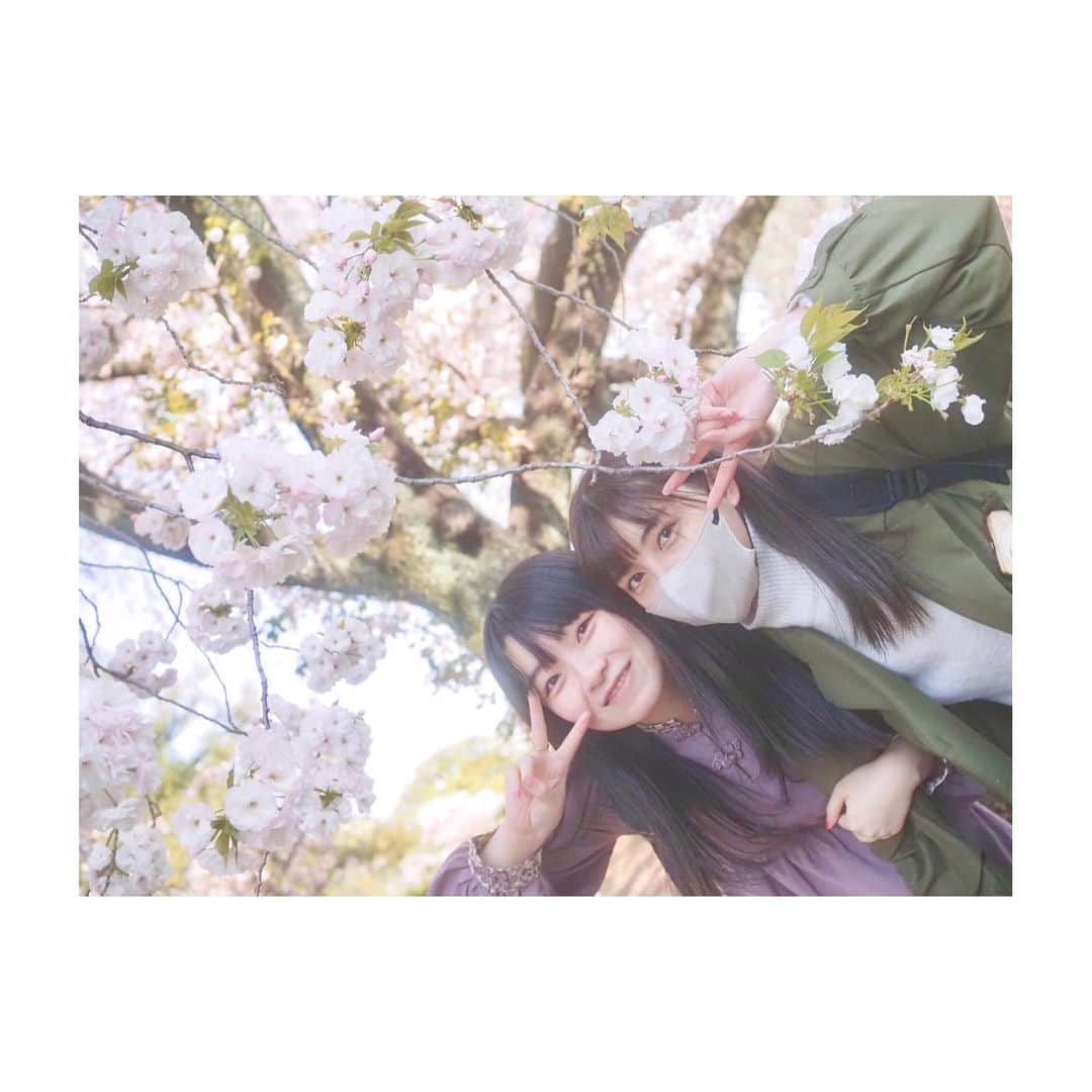 鬼頭明里さんのインスタグラム写真 - (鬼頭明里Instagram)「お花見ピクニック🌸」4月4日 16時52分 - akarikito1016