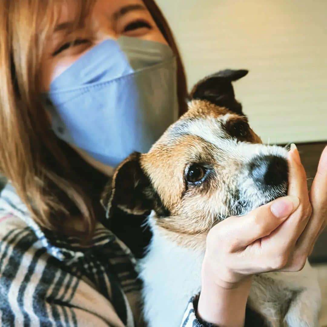 浜田真衣のインスタグラム：「握った餌にバクつく犬吉🐶🐾 ⁡ ⁡こちらの準備を待ってくれませんでした🙃笑⁡⁡ ⁡⁡ ⁡今日も素敵な1日を❤ ⁡⁡ ⁡ #浜田真衣」