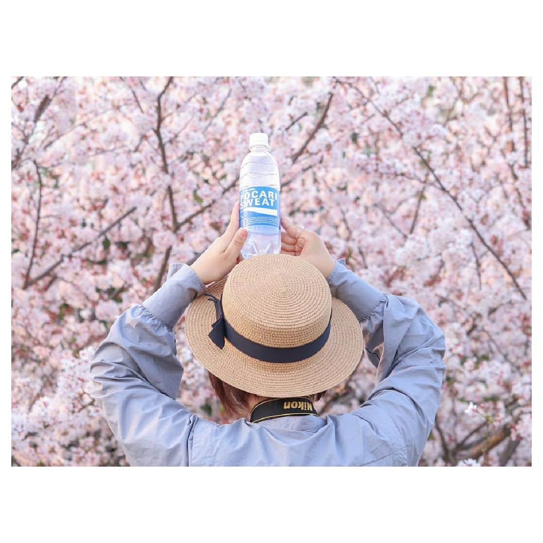 ポカリスエットさんのインスタグラム写真 - (ポカリスエットInstagram)「＼今日の #ポカリフォト 📷／  @soraziro_sun さんの #ポカリ女子 ♪ 綺麗な桜を背景にポーズ📸 とても春らしい #ポカリフォト を頂きました🌸 桜が各地で見ごろを迎えている今、是非素敵な #ポカリフォト を撮って、投稿してくださいね♪  「マネしたい！」と思ったら、コメント欄に『🌸』で教えてください♪  ====================== 皆さんもポカリスエットの写真を撮って 「#ポカリフォト」で投稿してくださいね♪ 素敵な投稿は @pocarisweat_jp で 紹介させていただきます♪ =====================  #ポカリスエット #ポカリ #ポカリのまなきゃ #pocarisweat #ポカリフォト #ポカリ女子 #キリトリセカイ #イオンウォーター #透明感のある世界 #何気ない瞬間を残したい #ファインダー越しの私の世界 #スクリーン越しの私の世界 #todays_blue_collection #ノスタルジーな瞬間を #誰かの記憶に残る写真 #白紙の1ページ #日常に魔法をかけて #毎日が笑顔で溢れてく #透明感 #ポカリブルー #可愛さを閉じ込めて #桜 #春 #はなまっぷ」4月4日 17時00分 - pocarisweat_jp