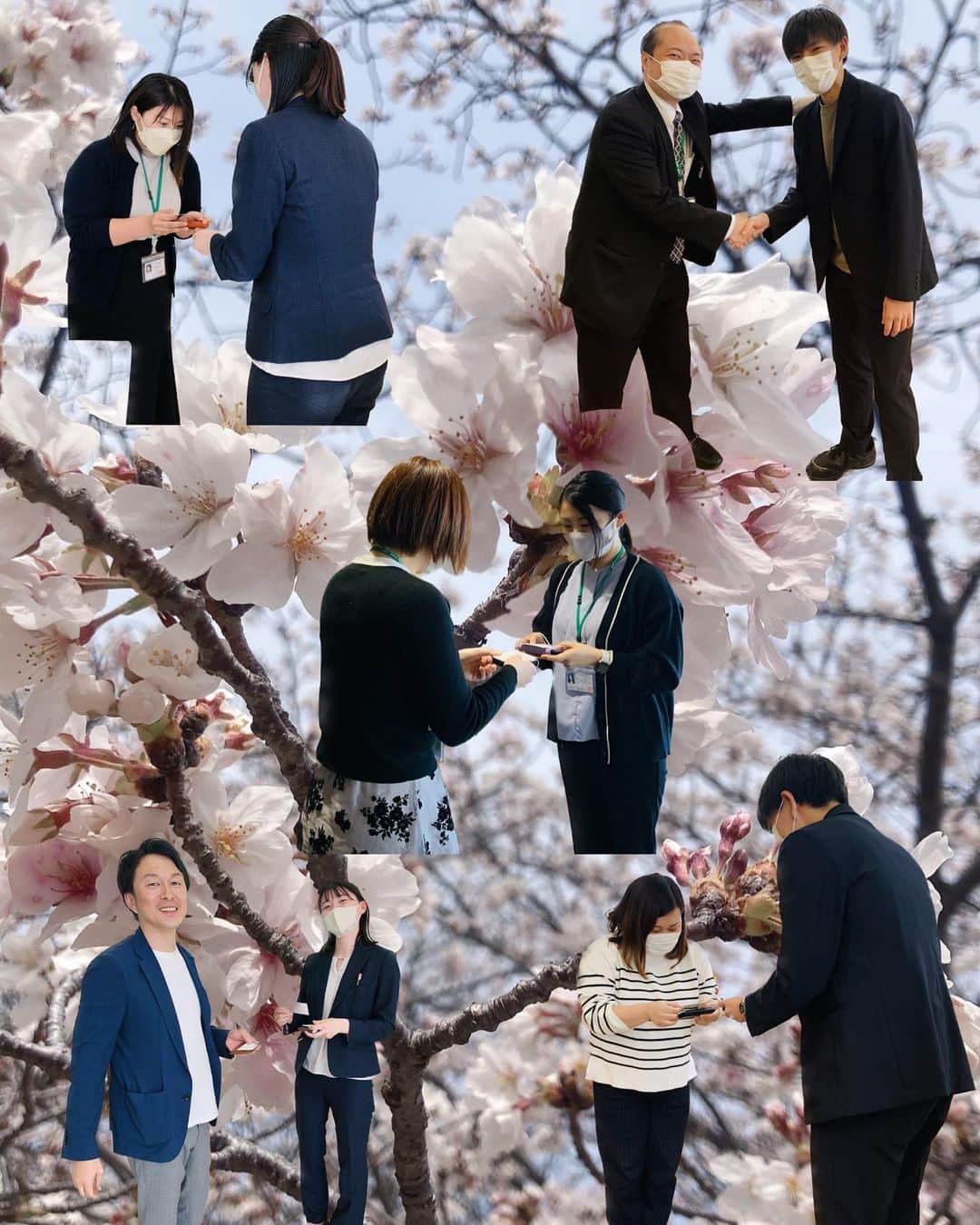 池田建設さんのインスタグラム写真 - (池田建設Instagram)「. 4月に突入しました🌸 別れの季節から出会いの季節へ移り 新生活がスタートした方も多いかと思います。  池田建設にも満開の桜のもと 新入社員の3名が入社しました👏  初日はエイブルネットワーク全店舗へ🚗  新しい風にわくわくしています♪ 一緒に仕事を楽しんでいきましょう❣️ ⁡-------------------------------------- 施工事例⇨@ikeda_kensetsu -------------------------------------- 𝐏𝐋𝐀𝐘𝐇𝐎𝐌𝐄,𝐏𝐋𝐀𝐘𝐋𝐈𝐅𝐄. 長崎県内の住まいのことなら お任せ下さい𖠿 𖥧 𖥧  長崎県諫早市小船越町1075-2 株式会社池田建設 TEL☏ 0957-22-0030 HP http://ikeda-kensetsu.com/ LINE  @746pggwq  エイブルネットワーク諫早店  @able.nw.isahaya エイブルネットワーク大村店  @able.nw.omura エイブルネットワーク佐賀中央店  @able.nw.sagachuo エイブルネットワーク佐世保駅前店 @able.nw.saseboekimae」4月4日 17時19分 - ikeda_kensetsu