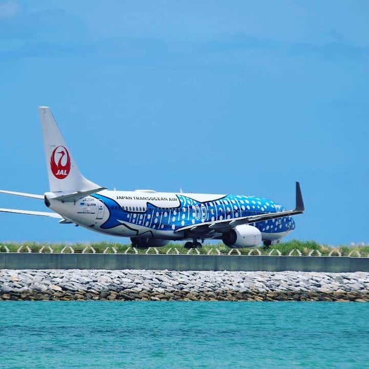 JALさんのインスタグラム写真 - (JALInstagram)「. 沖縄の海によく似合う #ジンベエジェット ✈ #MyAprilAdventure  Our whale shark livery aircraft especially matches the ocean in Okinawa. . . Photo by @0105luckys Post your memories with #FlyJAL  #JapanAirlines #JAL #airplane #✈︎ #JTA #日本トランスオーシャン航空 #うちなーの翼 #ボーイング737 #JA05RK #青空 #海 #沖縄 #那覇空港 #沖縄の風景 #沖縄の景色 #沖縄フォト #沖縄旅行 #飛行機 #飛行機写真 #飛行機撮影 #飛行機のある風景 #飛行機のある空 #飛行機好き #空港 #旅行 #日本航空」4月4日 17時30分 - japanairlines_jal
