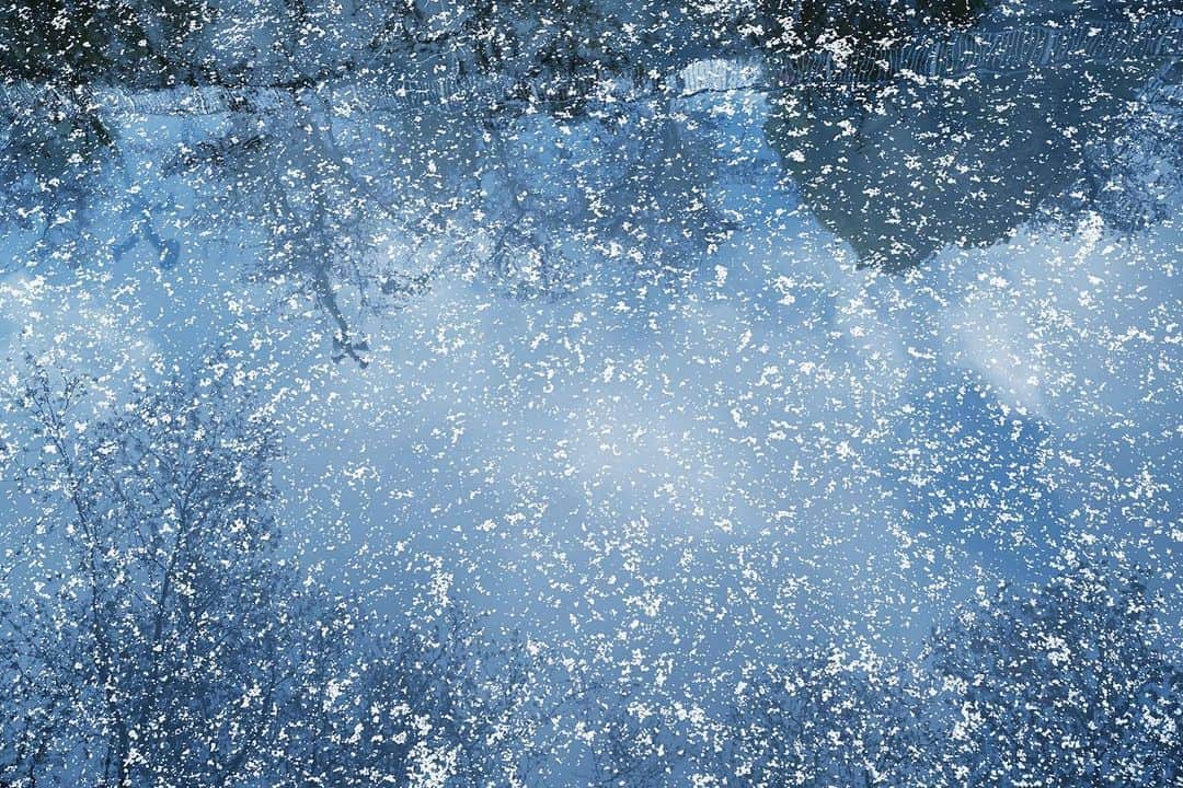 櫻田宗久さんのインスタグラム写真 - (櫻田宗久Instagram)「. 散る桜も綺麗  宇宙みたい💫  2023/4.2」4月4日 17時31分 - munetopia