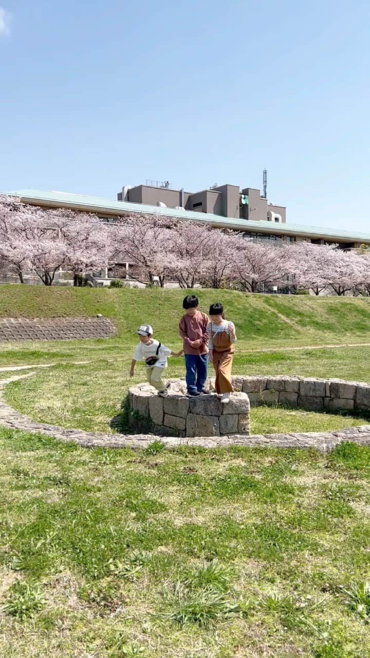 きなこのインスタグラム：「みんなでお花見☺️ 場所は広々遊べてお気に入りのお花見スポット、JR伊丹駅そばの河川敷🌸  それぞれの学校で進級してまたひとつお兄さんお姉さんになる子どもたち。久しぶりでも自然に打ち解け元気いっぱい走り回っていました🏃‍♂️ 母たちも追いかけ追いかけられ、しっかり筋肉痛です😂」