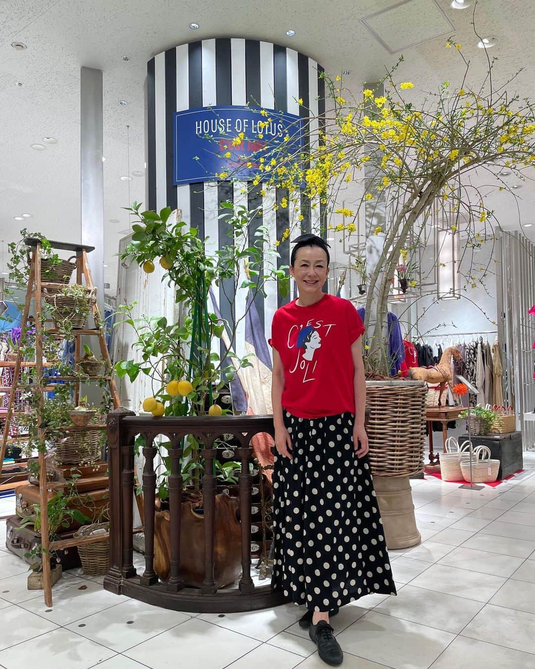ISETAN PARK netさんのインスタグラム写真 - (ISETAN PARK netInstagram)「南仏ヴァカンスを感じる＜ハウス オブ ロータス＞春夏コレクション✨「新宿0丁目商店街」とのコラボも必見❣    桐島かれんさんがクリエイティブディレクターを務める＜HOUSE OF LOTUS/ハウス オブ ロータス＞。 今回のポップアップストアは、ヴァカンスを待ち焦がれるパリジェンヌたちの都会的でエレガントな装いから、ニースやサントロペなどの海辺の街でのヴァカンススタイルまでをイメージしたラインナップ。   本館1階 イセタンリーフでは、トリコロールカラーを基調としたTシャツやワンピースなどの伊勢丹新宿店先行販売アイテムが登場。また、こだわりの店主たちが集う「新宿0丁目商店街」のヴィンテージディーラーたちがセレクトしたヴィンテージアイテムもご紹介しています。  本館4階 ハウス オブ ロータスでは“パッサージュ”をテーマに2023年春夏コレクションをご紹介中です。  フランスを旅しているような心躍る気分を感じられるコラボレーションをご堪能ください。     「新宿0丁目商店街」出展ブランド  ＜ANONYME＞＜BROWN ANTIQUES＞＜COVIN＞  ＜JOGLAR＞＜Petit Musée＞＜裏庭＞＜粋気者＞     ＜ハウス オブ ロータス＞ポップアップストア 「C’est joli! Paris－French Riviera」  ■開催中～4月11日(火)  ■本館1階 雑貨/イセタンリーフ ■本館4階 ハウス オブ ロータス    📷  写真1～6枚目：本館1階 雑貨/イセタンリーフ  写真7～9枚目：本館4階 ハウス オブ ロータス    イベント情報は @isetan_shinjuku ストーリー「POP UP」またはこちら▼  https://www.mistore.jp/shopping/feature/women_f2/houseoflotus_w.html   商品のお問い合わせ▼  三越伊勢丹オンラインストア  https://www.mistore.jp/shopping/brand/women_b/026783.html    @houseoflotus_official  @houseoflotuskaren  @0_chome_mitsukoshiisetan  @isetanseed_isetanleaf_shinjuku    #houseoflotus #ハウスオブロータス #ハウスオブロータス伊勢丹新宿店 #桐島かれん  #伊勢丹新宿店先行販売 #フォトTシャツ #コラボTシャツ #パリ蚤の市 #新宿0丁目商店街 #新宿0丁目商店街三越伊勢丹 #一田憲子 #ヴィンテージ #ヴィンテージアイテム #ヴィンテージ雑貨 #vintage #vintagegoods #アンティーク#アンティーク雑貨  #popupstore #百貨店ポップアップ #ポップアップイベント #期間限定ストア #期間限定イベント  #isetan #isetanshinjuku #イセタン #伊勢丹 #伊勢丹新宿 #伊勢丹新宿店 #三越伊勢丹オンラインストア    🔖 THE STORIES  共感から生まれるコラボレーション～collaboration～  https://www.mistore.jp/shopping/feature/shops_f3/thestories_sp」4月5日 19時00分 - isetan_shinjuku