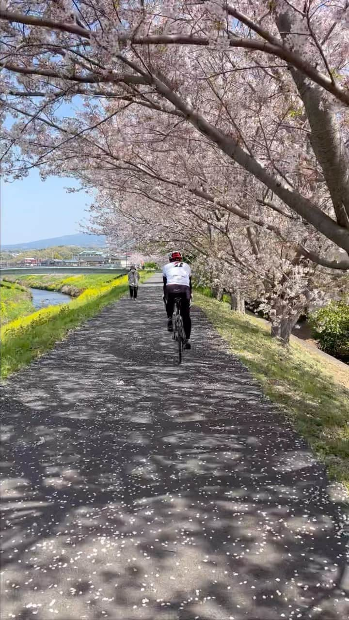 太田りゆのインスタグラム：「日本の素敵な風景🇯🇵🇯🇵 SPRING🍡🌸  Mt.Fuji🗻×Sakura🌸×Bike🚴‍♀️  #teambridgestonecycling #chaseyourdream #sakura #roadbike #road #cycling #cyclist #trip #sport #japan  #cyclinglife #cyclingshots #cyclingphotos  #ロードバイク #ロードバイク女子 #サイクリスト #スポーツ #自転車  #サイクリング #日本 #伊豆」