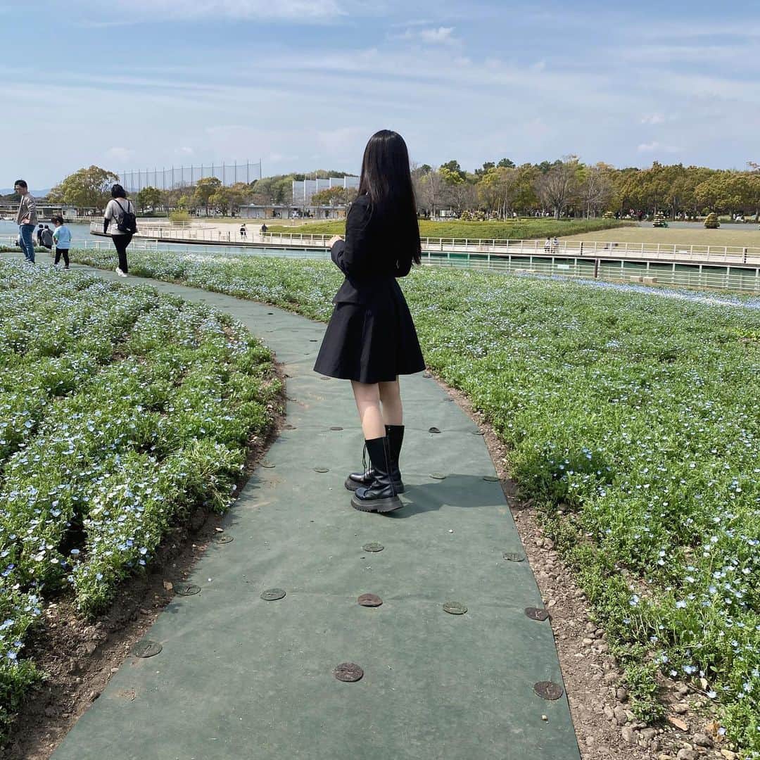 杉山緋那のインスタグラム：「もうネモフィラの季節でした🌼」