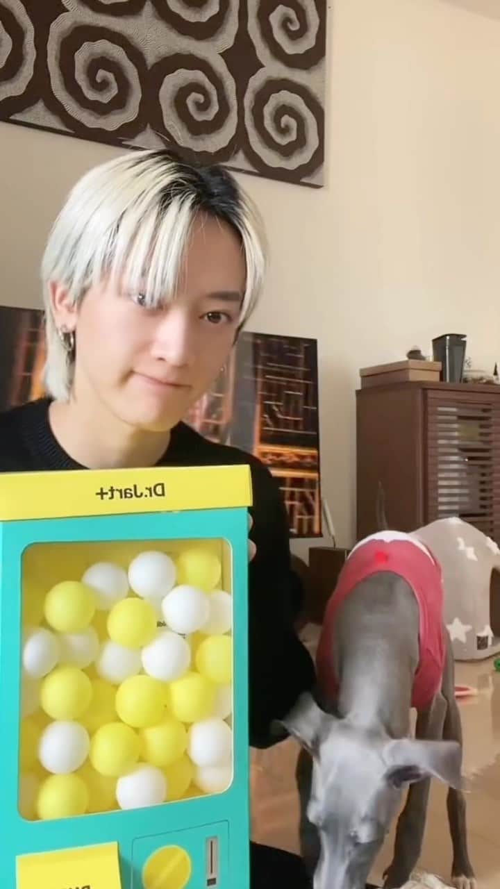 池田陸人のインスタグラム
