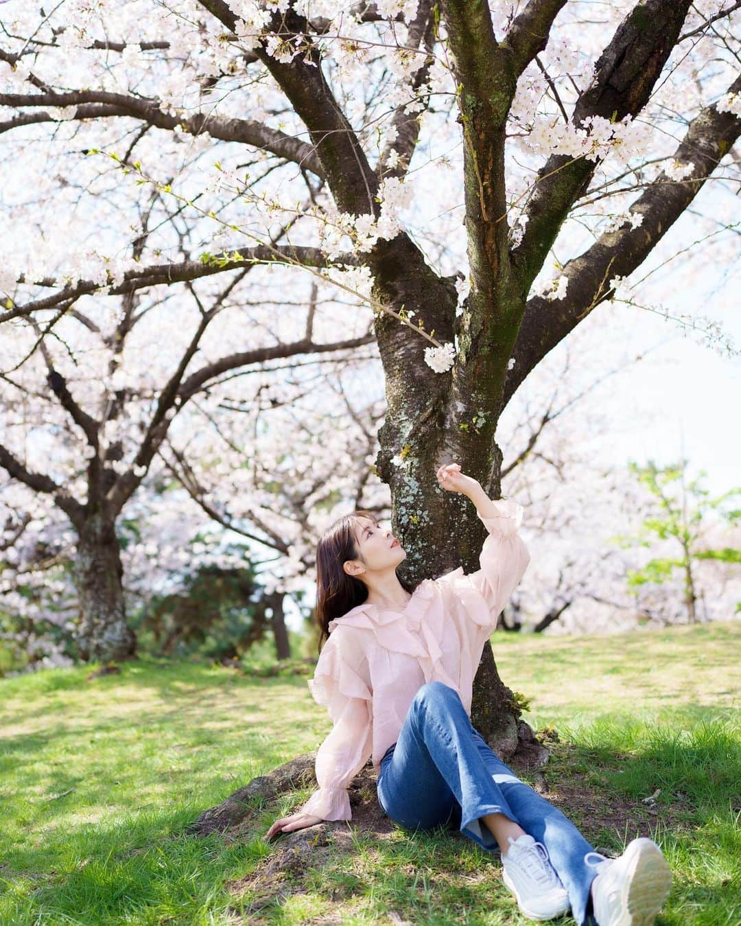 Yuika Matsuさんのインスタグラム写真 - (Yuika MatsuInstagram)「桜きれい…🌸🌸 　  photographer @makooo_work  model @yuika00802   　 4月5月もお仕事受け付けております♪ 　 すべてのご縁に感謝し 全力でお仕事させていただきます。 　 ぜひ一緒にお仕事できたら嬉しいです🕊 お気軽にDM or HPメールからご連絡ください♪ 　 　  #フリーランス#大阪フリーランス #関西フリーモデル #広告撮影#関西モデル  　 　 　 ブラウス▷ @sheinofficial @shein_japan     SHEINで使えるクーポンコードもあります❤️ ▼クーポンコード：LOVEDAZY119  ▼クーポン利用期限： 6,000円以上:20%OFF 5,999円以下:15%OFF 有効期限2023/2/15~2023/4/30  ぜひ使ってね✨      #SHEIN #SHEINコーデ #SHEINforall #今日のコーデ#OOTD」4月4日 17時43分 - yuika00802