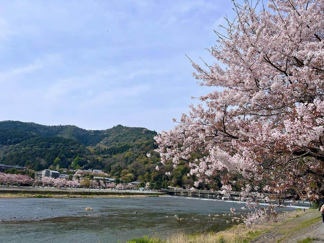 駒田奈美さんのインスタグラム写真 - (駒田奈美Instagram)「・ ・ ・ 『嵐山』 ・ ・ 嵐山観光 ・ ・ 渡月橋付近を散策♪ ・ ・ お昼ご飯はお豆腐のお料理を ・ ・ ランチ後お散歩していたら ヴィーガンカフェを発見！ ・ お豆腐を使った抹茶のケーキとオーガニックコーヒーで ホッ☕️ ・ ・ お昼からお豆腐づくし…笑 ・ ・ ・ #駒田奈美#モデル#アラフィフ#美魔女#京都#京都グルメ #京都観光 #京都ランチ #京都カフェ #渡月橋#嵐山#桜#京都桜#お豆腐＃旅#旅行 #旅行好きな人と繋がりたい」4月4日 17時59分 - nami.komada