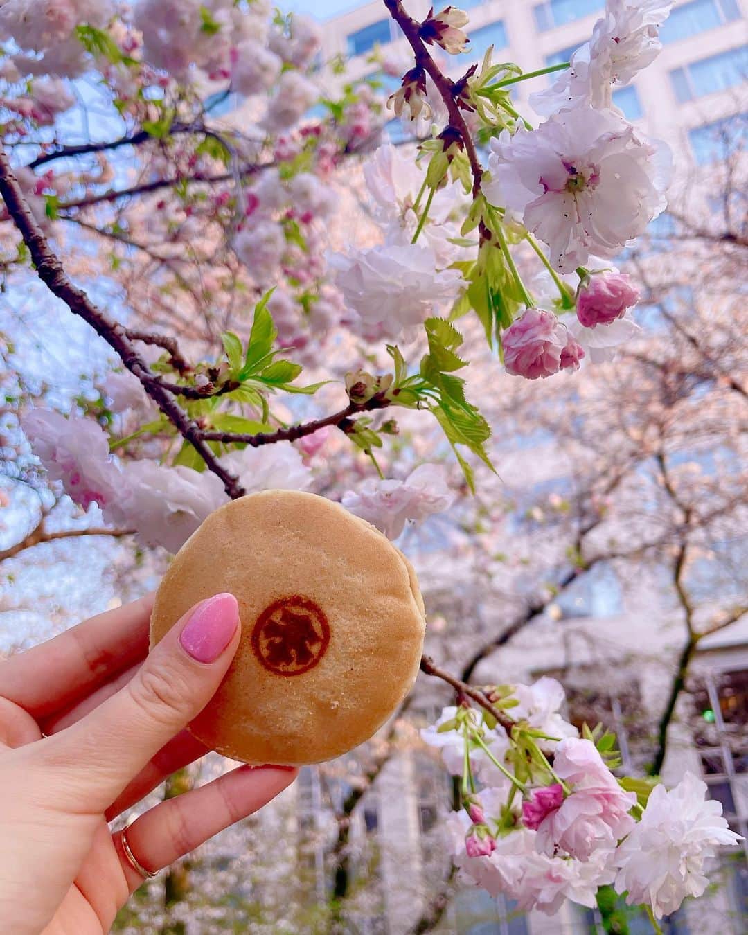 エリカ・セイラのインスタグラム