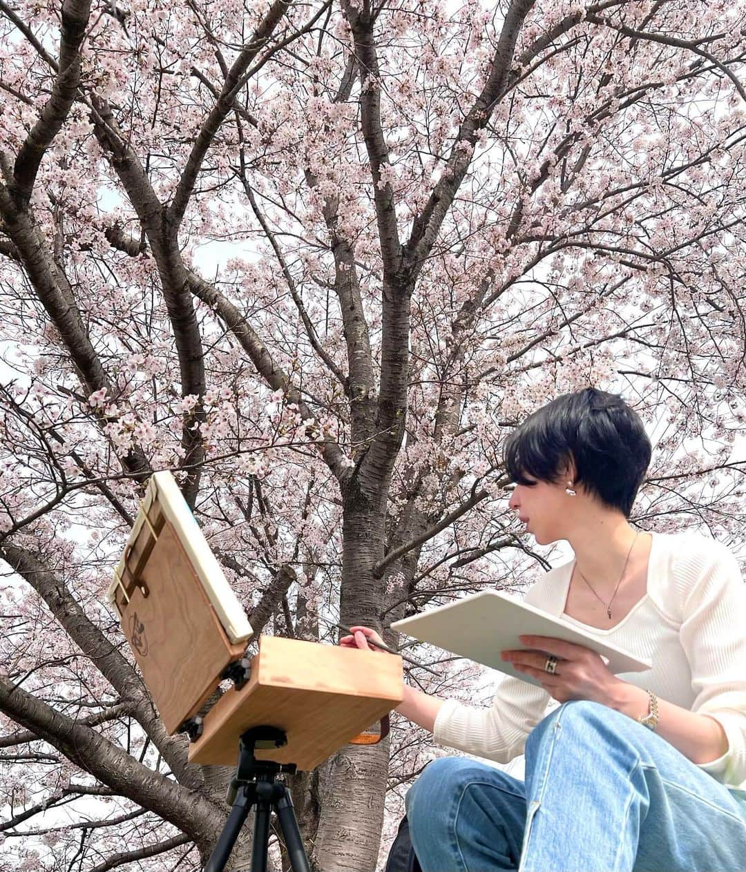 古賀陽子のインスタグラム：「既に2年お待ちいただいているオーダー制作🌸構想を練るために桜のスケッチを連日しています🎨🌸 満開の桜がとっても気持ちの良い季節感が込められますように☺️🌸  #桜 #cherryblossoms #スケッチ  #Nymph #ニンフ  #アートコレクター #油絵 #絵画のある暮らし #絵のある暮らし #美術好きな人と繋がりたい #神戸 #西宮 #美術 #ギャラリー #アートワーク #美術館 #展覧会  #japaneseartist #figurativepainting #figurativeart #artcollector #exhibit #exhibition #gallery  #artistsoninstagram #oiloncanvas  #artwork #painting #古賀陽子 #yokokoga」