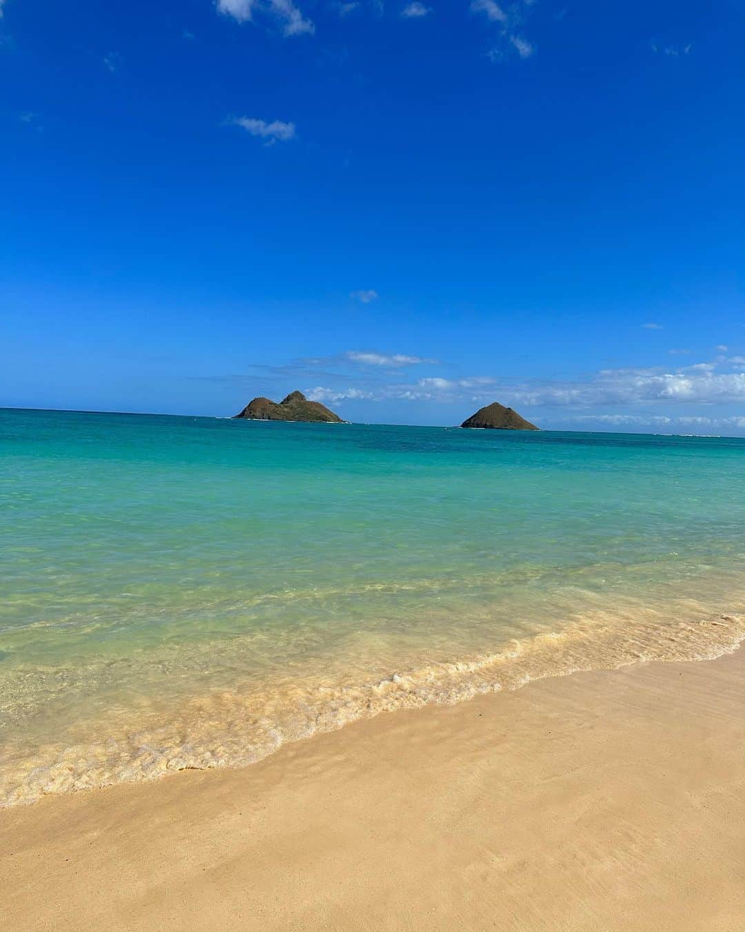 山下愛実（まなみるく）さんのインスタグラム写真 - (山下愛実（まなみるく）Instagram)「Hawaii🏝 . . . ラニカイ ビーチ🏝 めちゃ綺麗で砂浜がすごく長くて 写真じゃ伝わらないのが残念🙍🏻‍♀️ 行き道のドライブも最高すぎた🚗🤍  #ハワイ#ハワイ旅行#ハワイ海 #ラニカイ#ラニカイビーチ#ハワイビーチ #水着#ワンピース水着#麦わら帽子」4月4日 18時15分 - manami_ymst