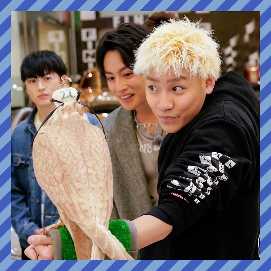 のインスタグラム：「GENE高思い出写真館📷❤️ コメントにあった「GENE高初の海外！！修学旅行inドバイ編♡」の未公開写真を大公開🤗✨  お金持ちの王族の豪邸訪問やデザートサファリなど 衝撃の映像が盛りだくさんだったよね🥺🧡  買い物のとき計算を間違えて高く払い過ぎちゃってたのも 今となってはいい思い出です🤣🤣  まだまだ未公開写真がいっぱいあるから みんなが見たい写真や印象に残ってる回を コメントで教えてね☺️✏️  #gene高 #ジェネ高 #generations高校tv #gene #generations #ジェネ #ジェネレーションズ #generationsfromexiletribe #ldh #白濱亜嵐 #片寄涼太 #数原龍友 #小森隼 #佐野玲於 #関口メンディー #中務裕太」